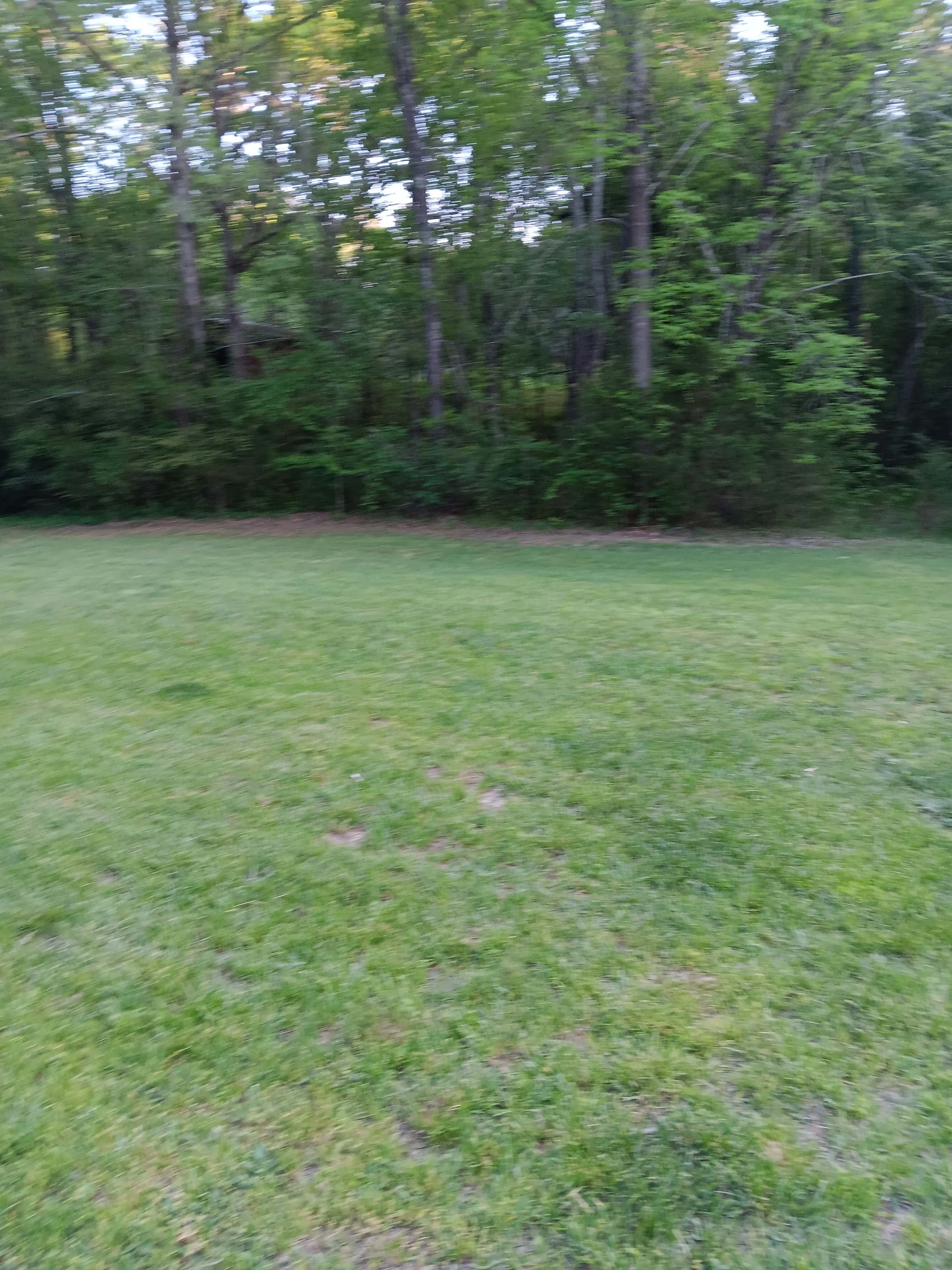 2nd Chance Ranch