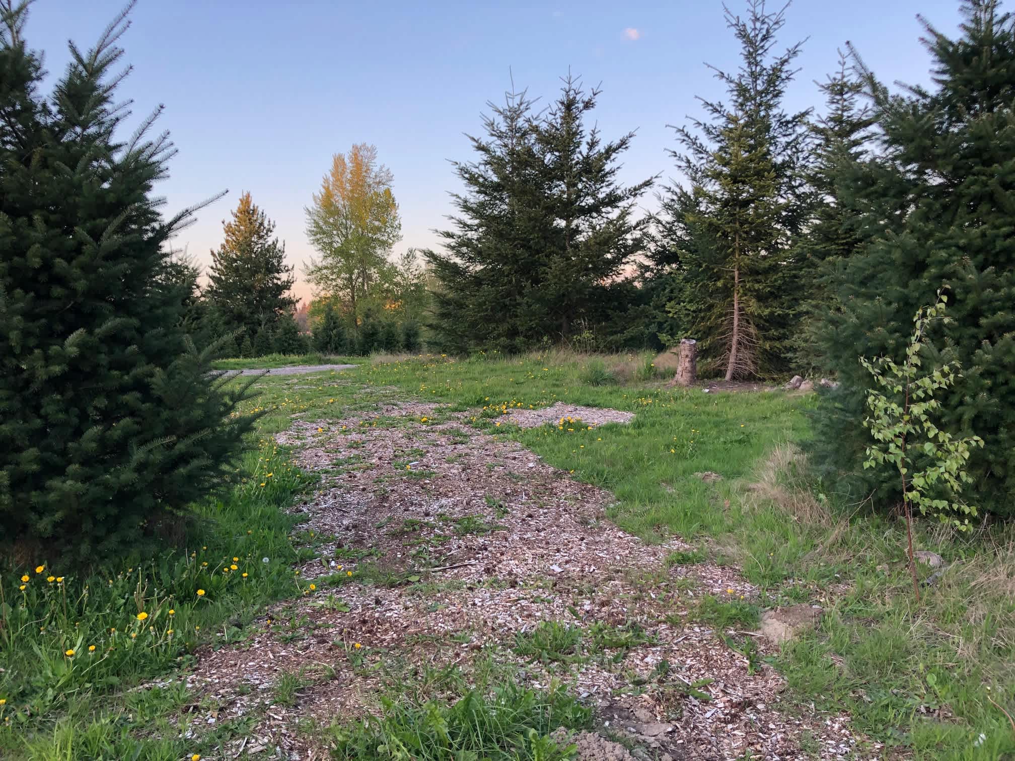 Picture of the site