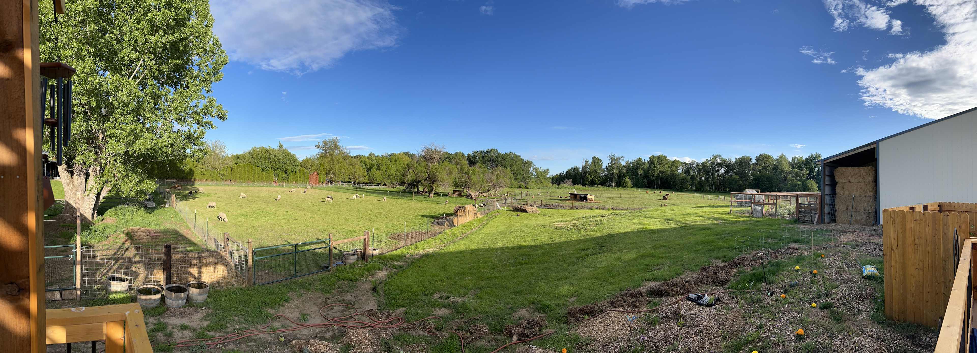 Kaizen Roots Farm