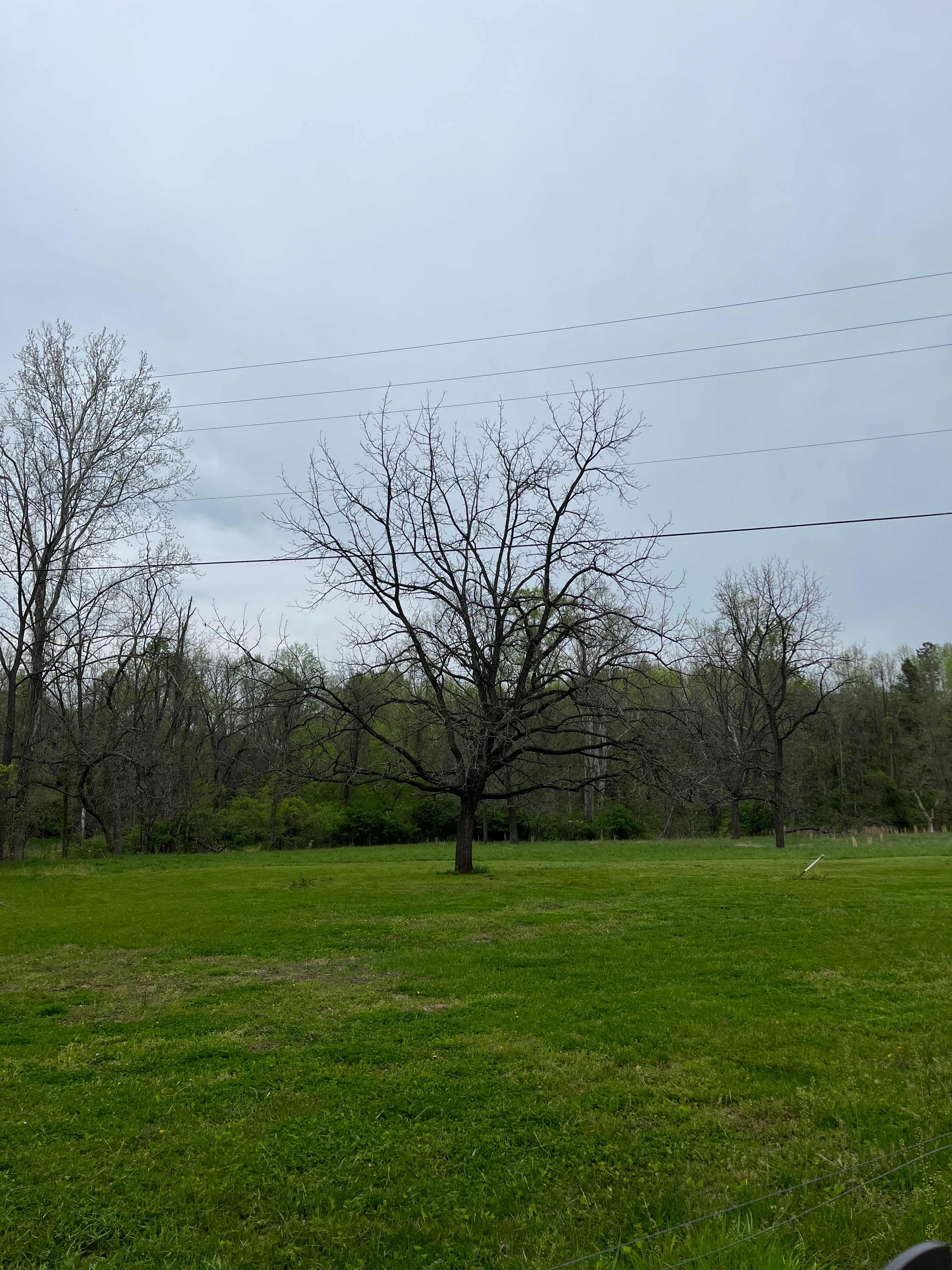 This is the site across the road from the mill that we would like campers to camp and RVers will also be able to camp here. 