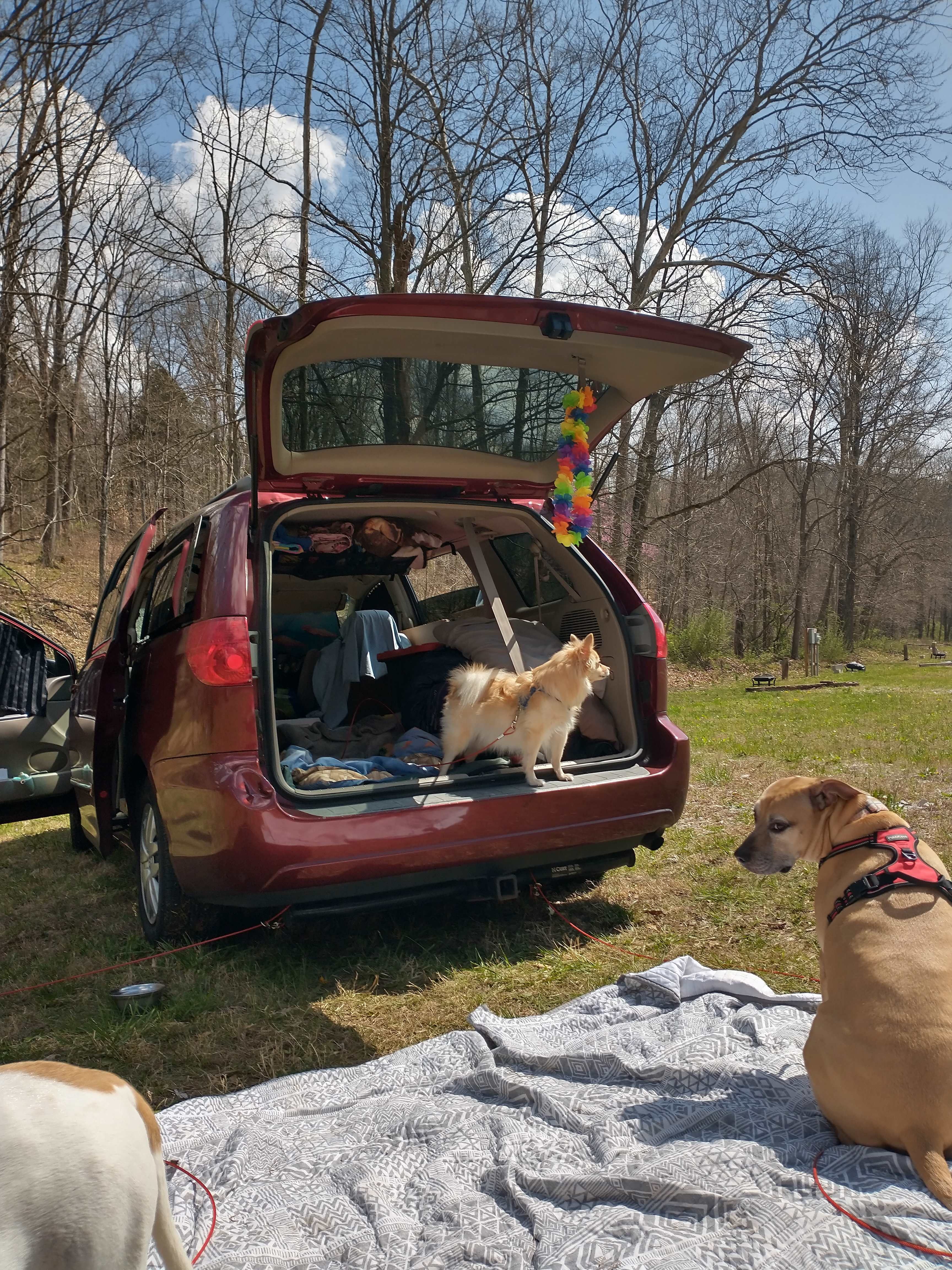 White Oaks Cabins & Campground