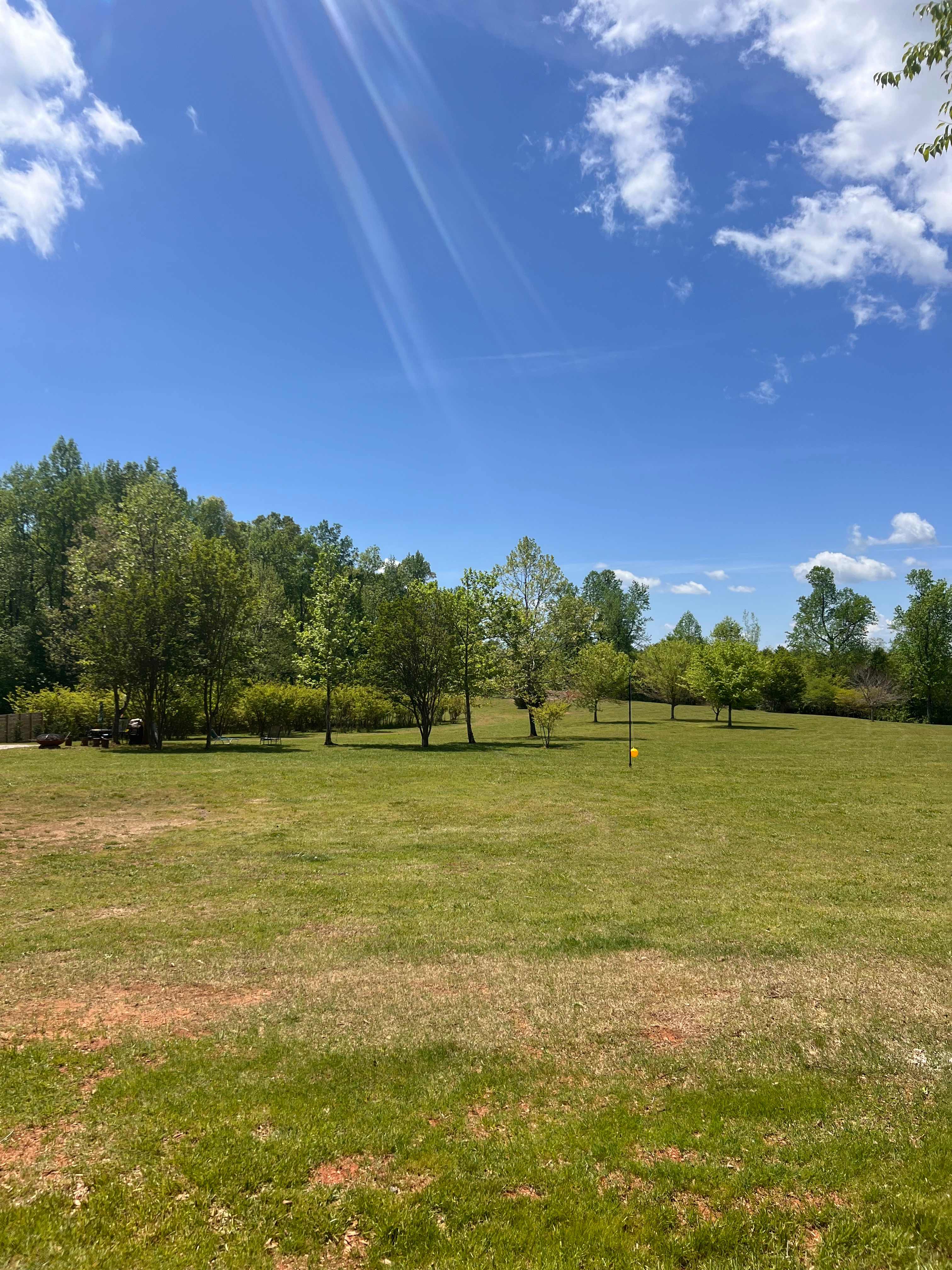 Black Bear Farm