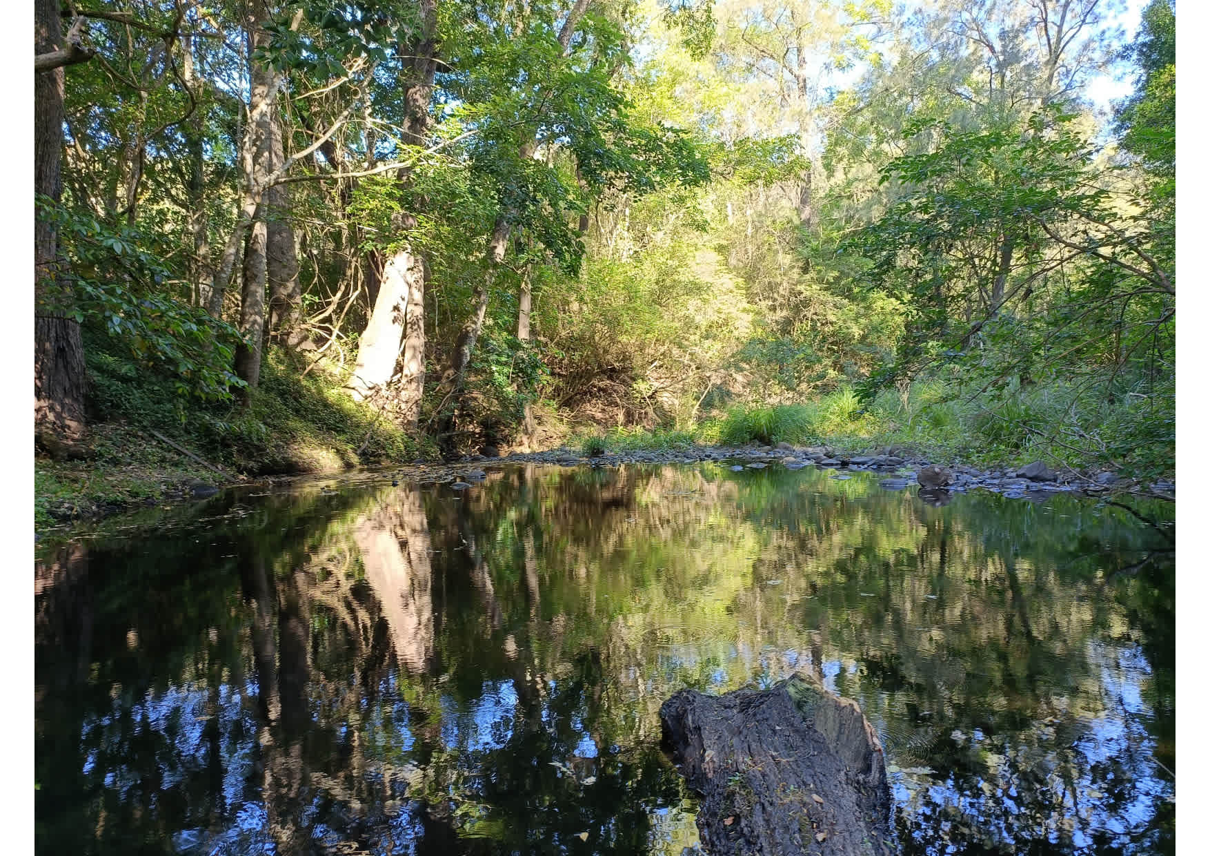 Figtree Farm at Findon Creek
