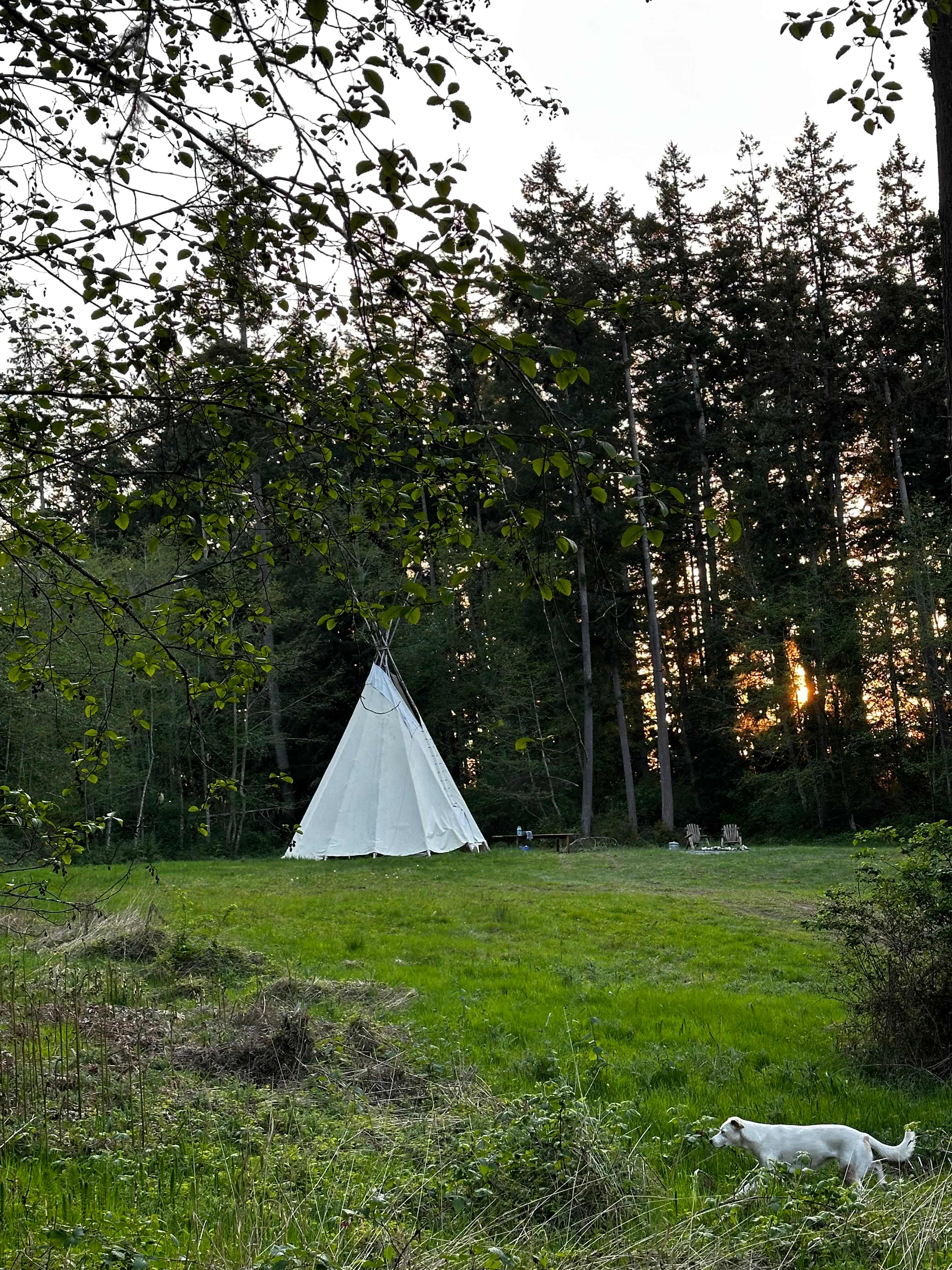 Wild Hearts on Whidbey