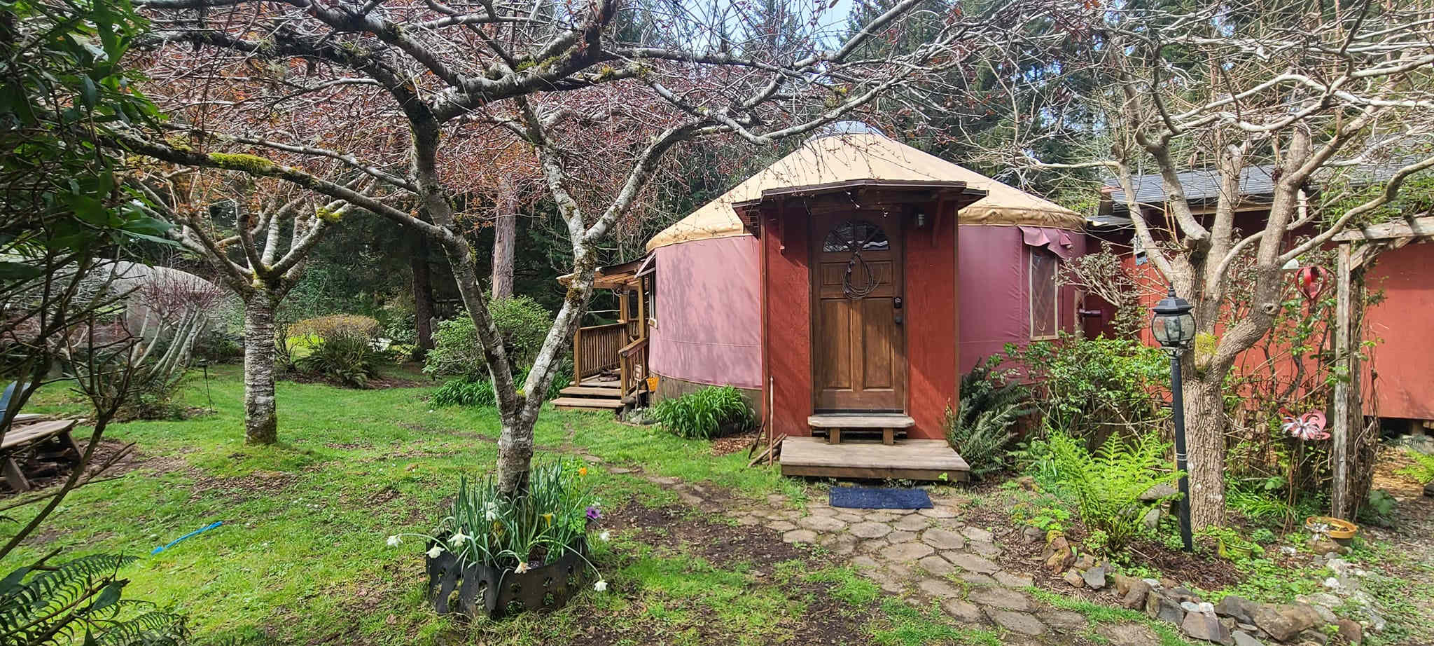 Burgess Backyard