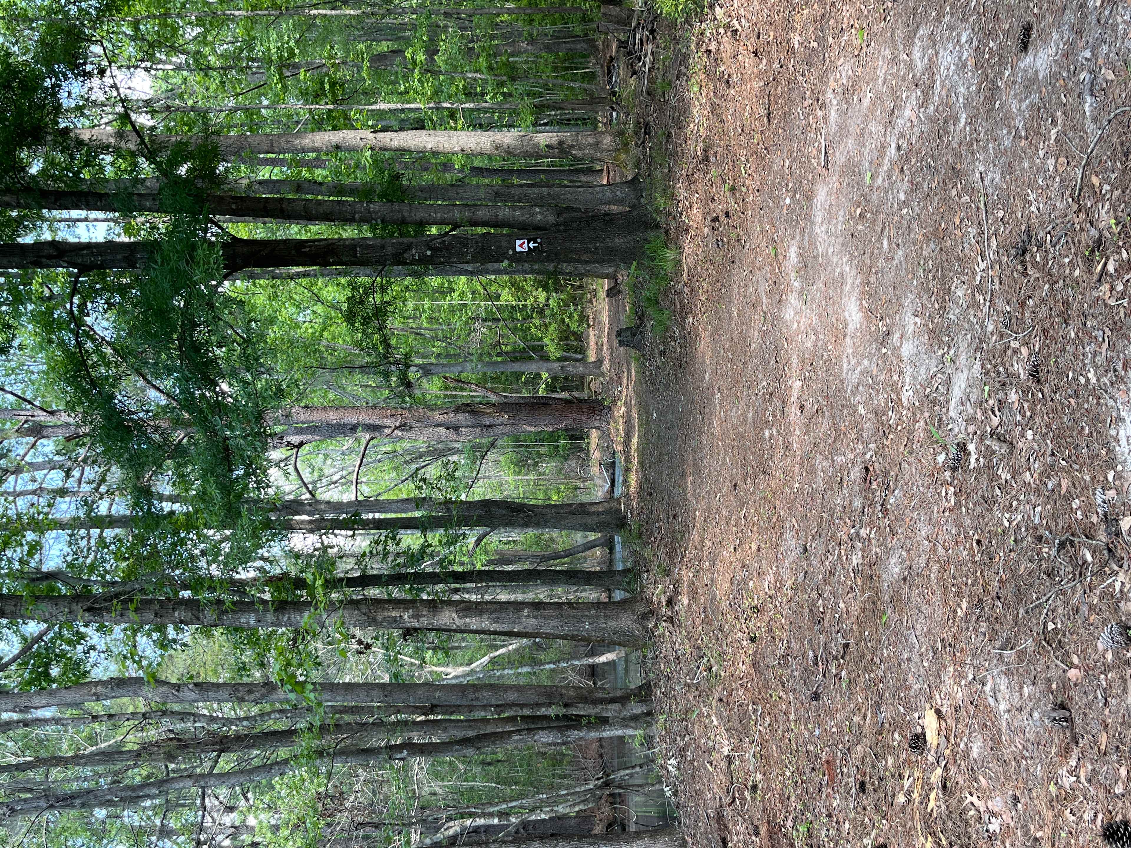 Cassabl Farm