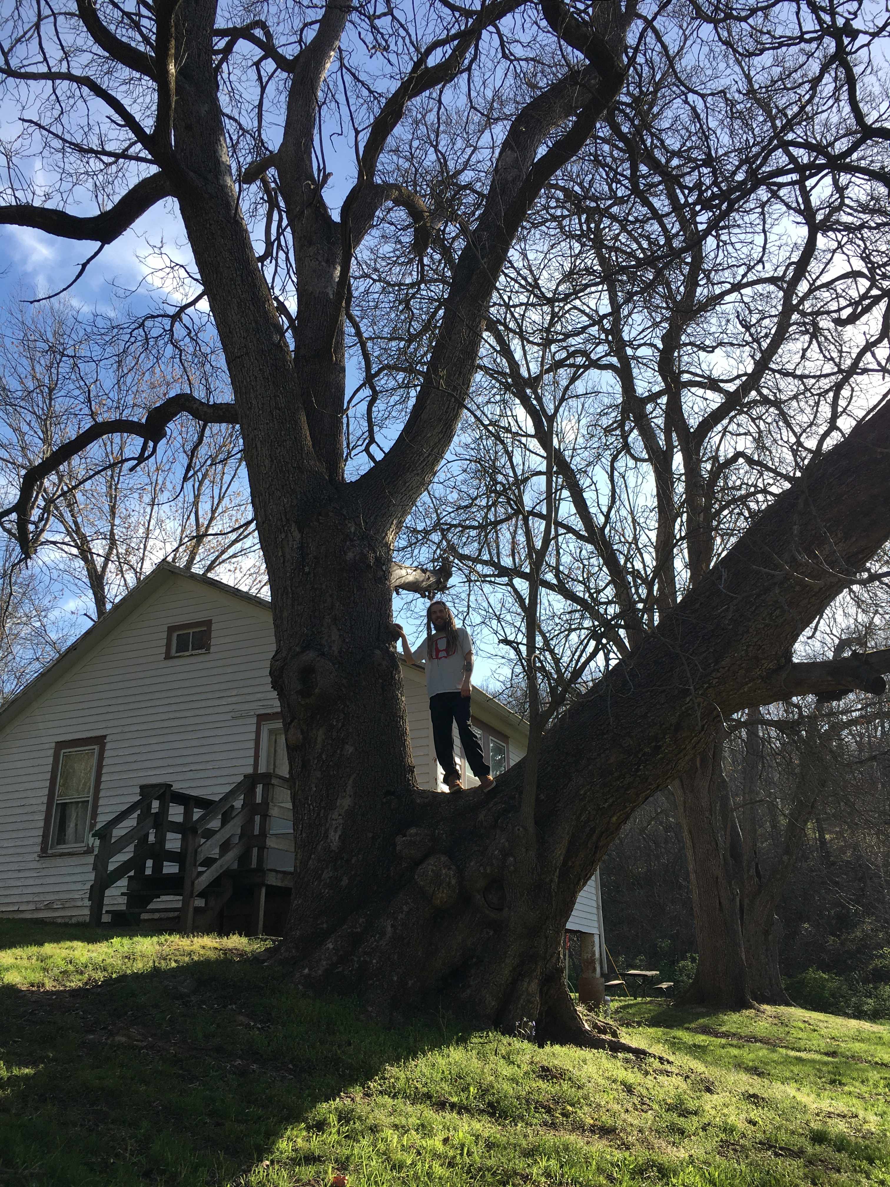 McCully Heritage Project