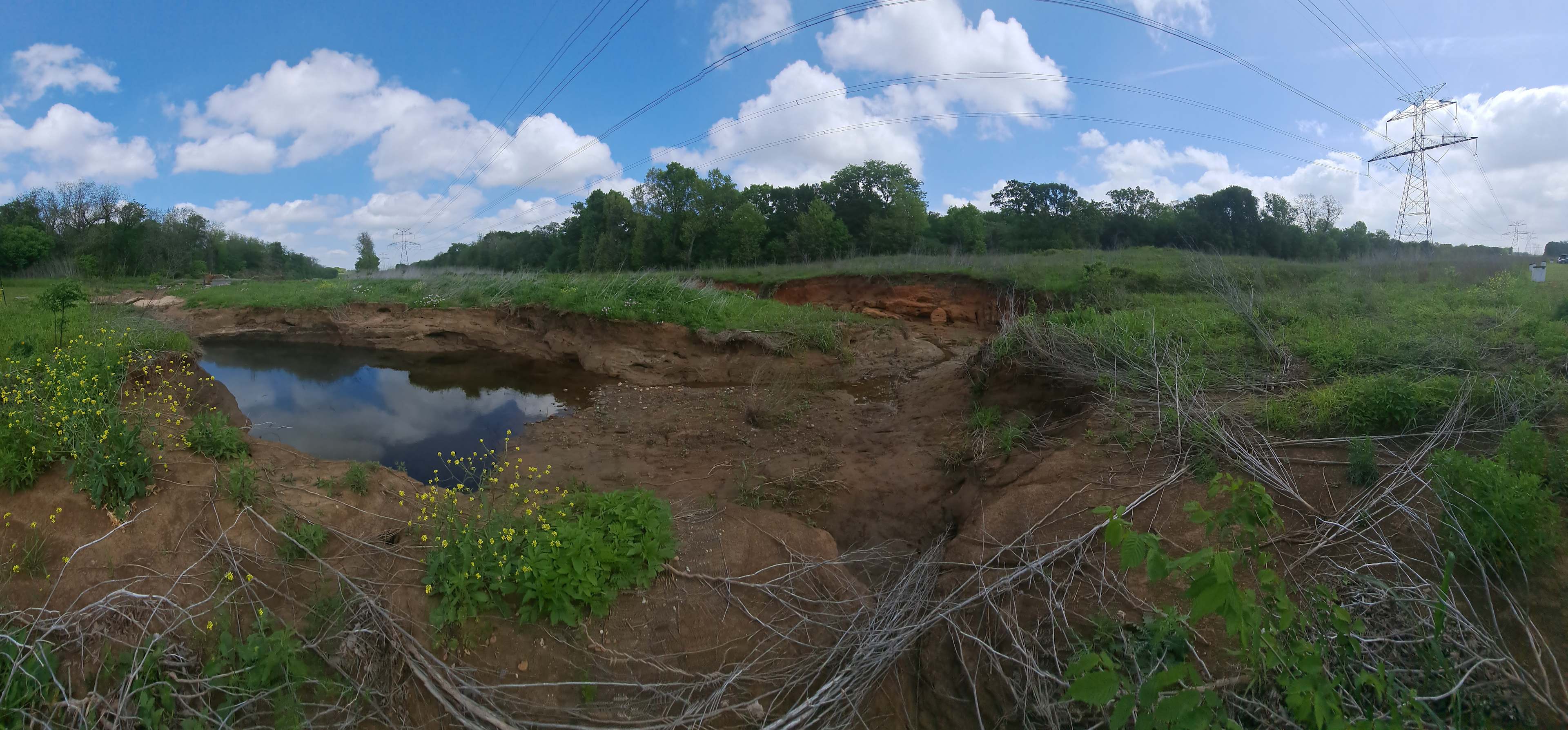 Picture of the site