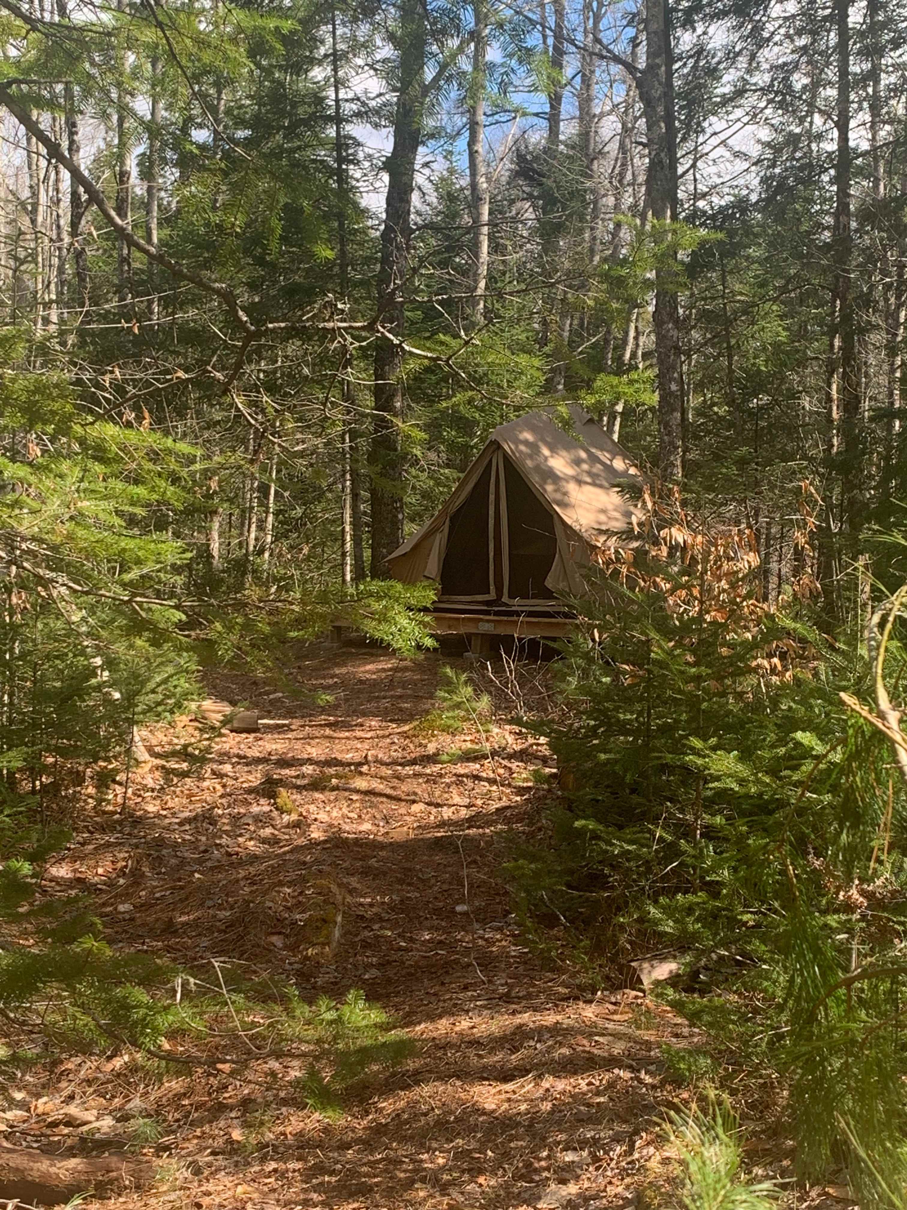 Turtle Marsh- secluded wooded site.