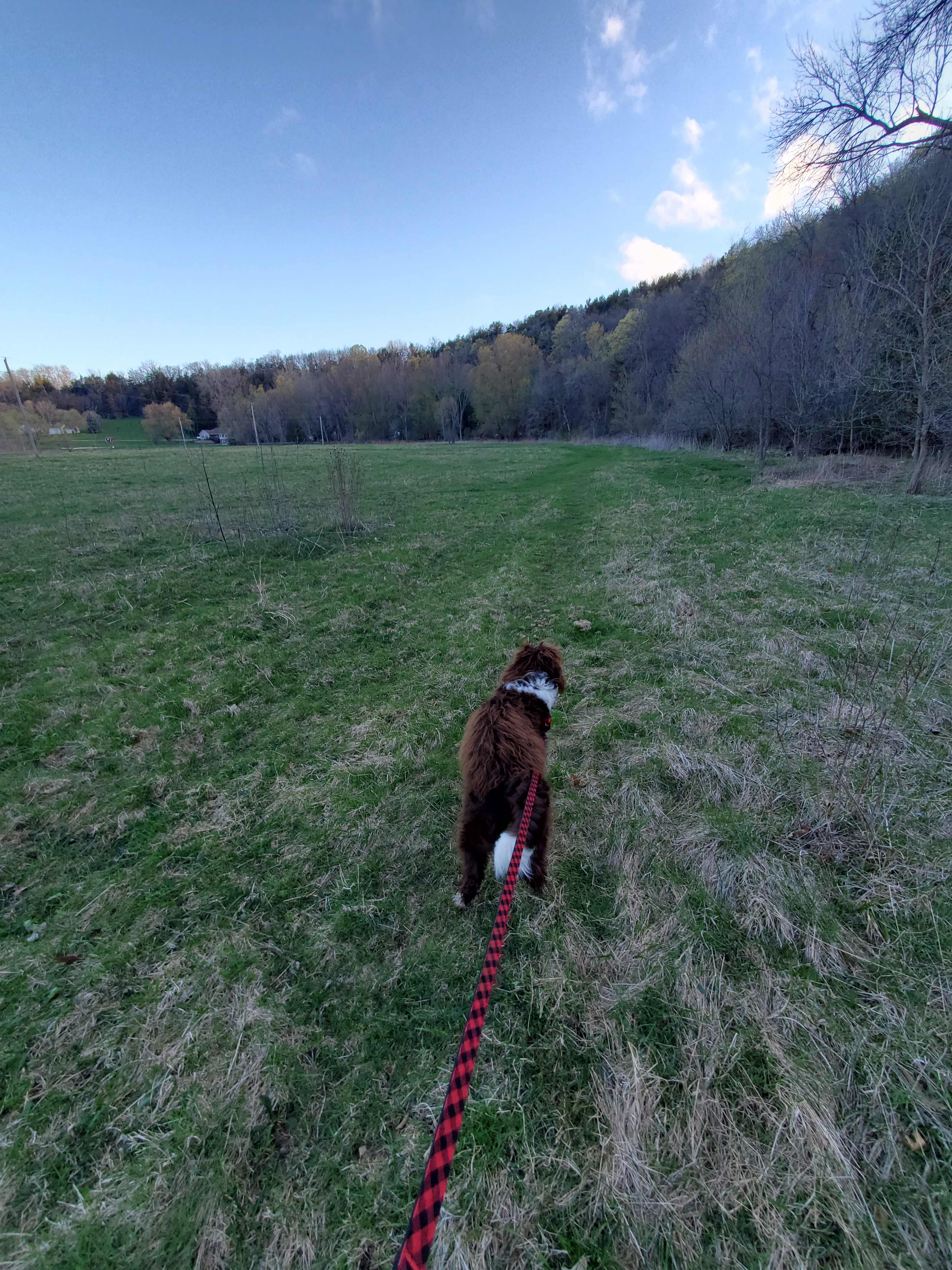 Lots of space to roam