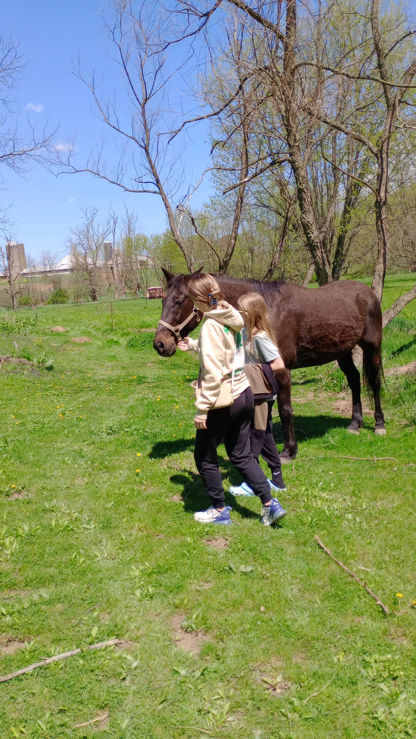 Shambala at Mystic Hollow