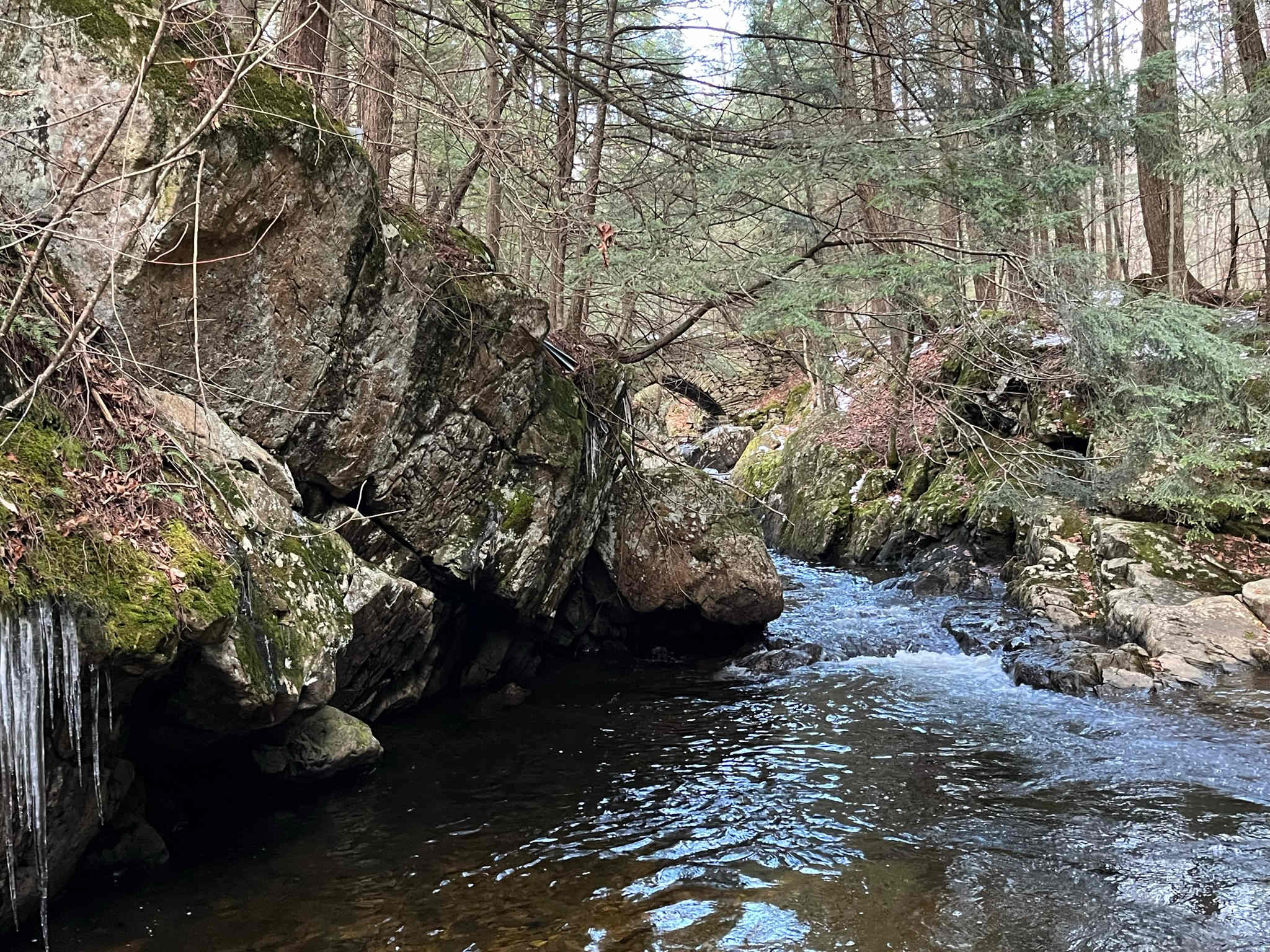 Pike Brook Camping