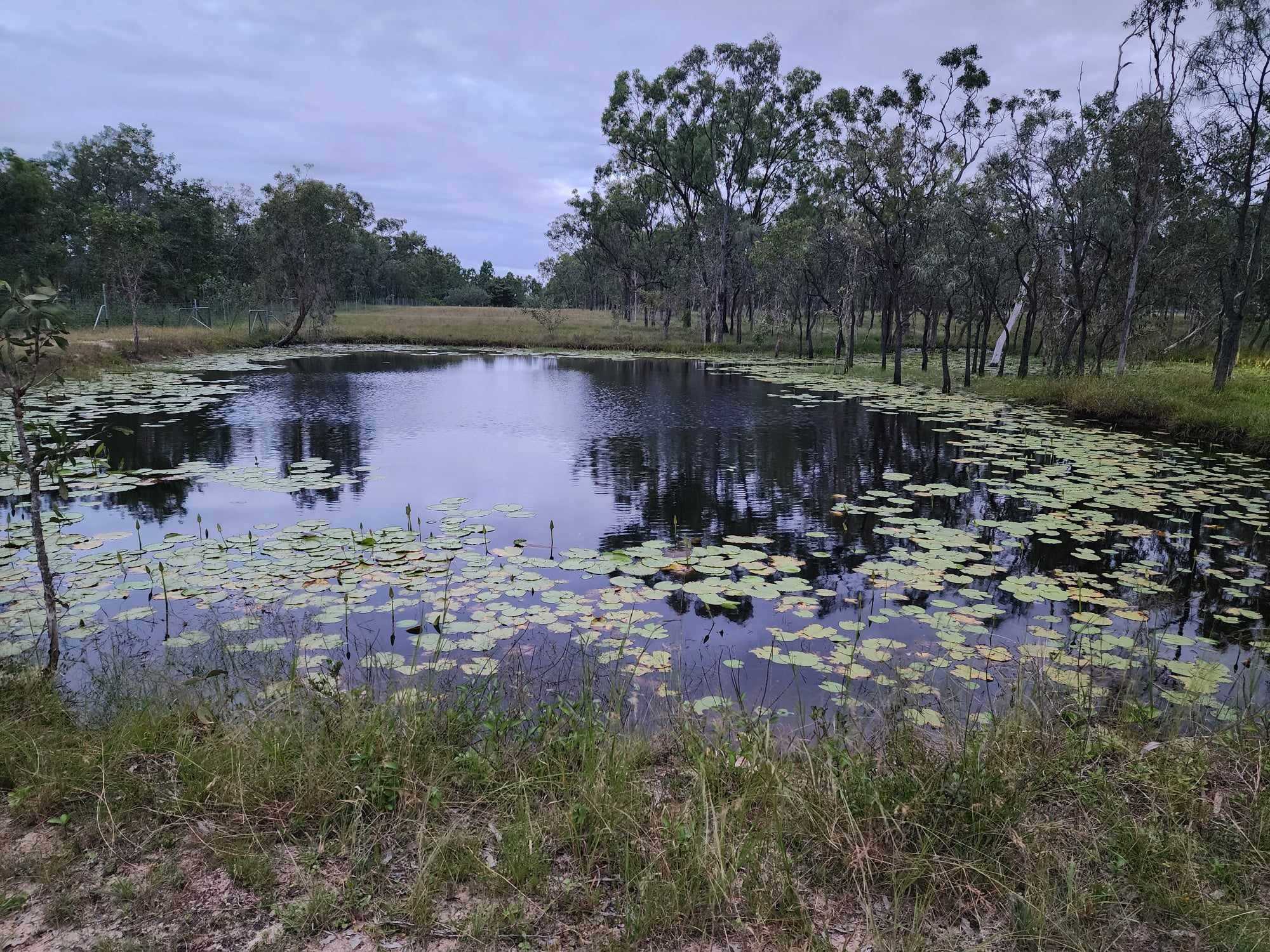 Black River Bush Retreat