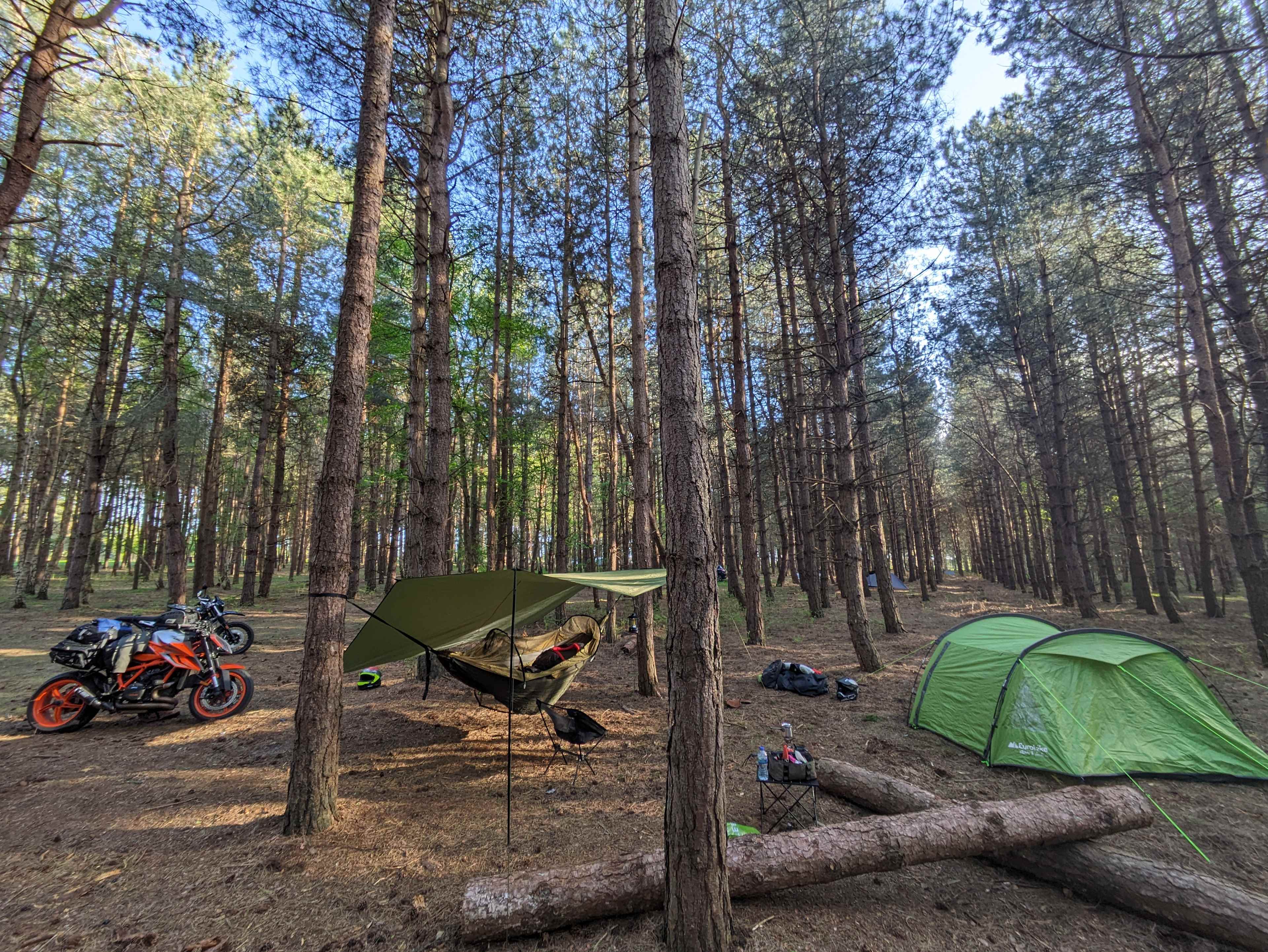 Holistic Woods Campsite WILD