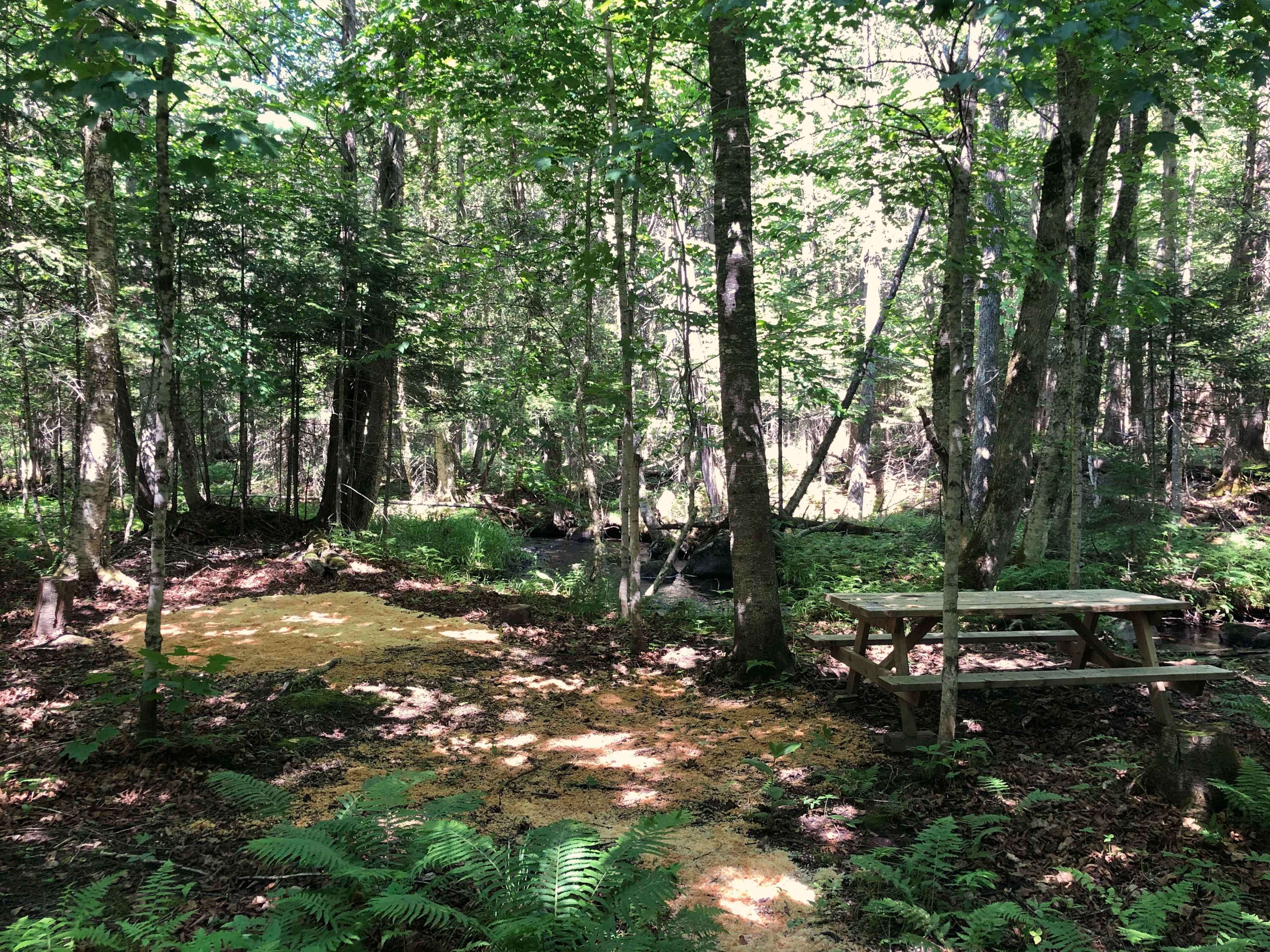Campsite
