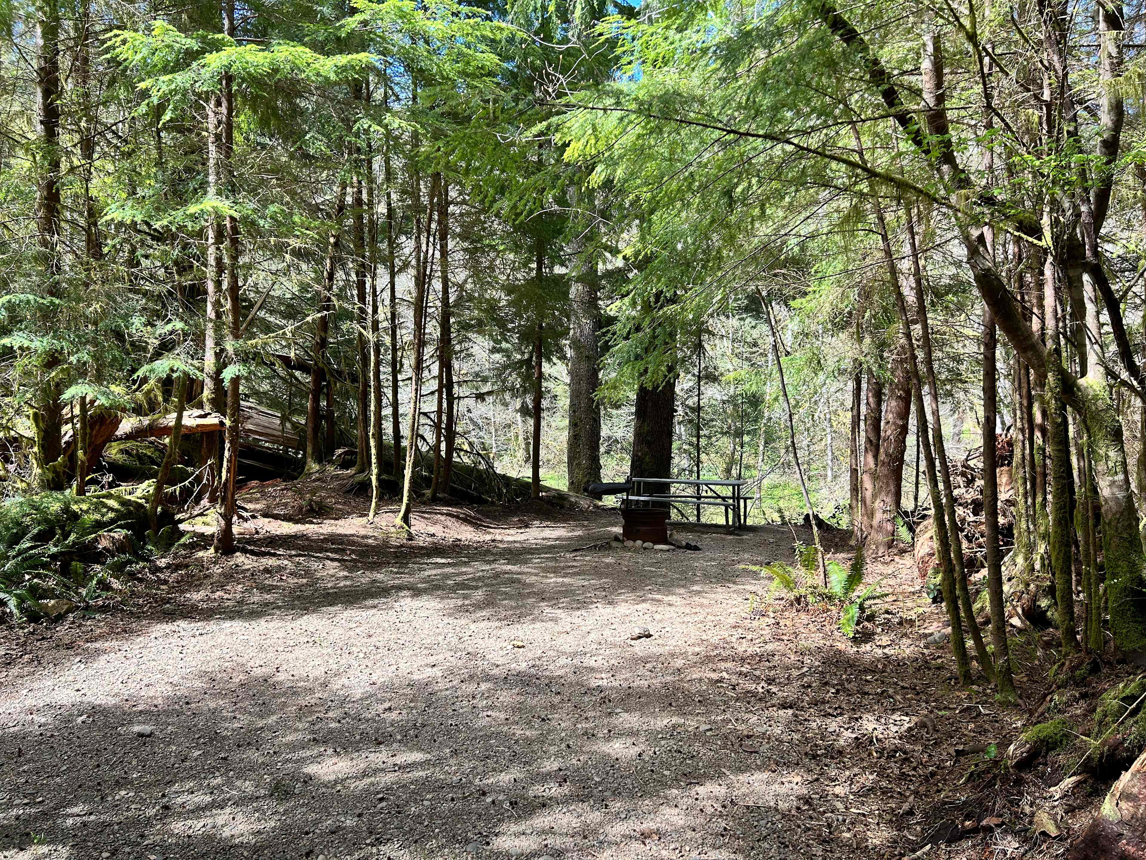 Dawleys SolDuc River Campground