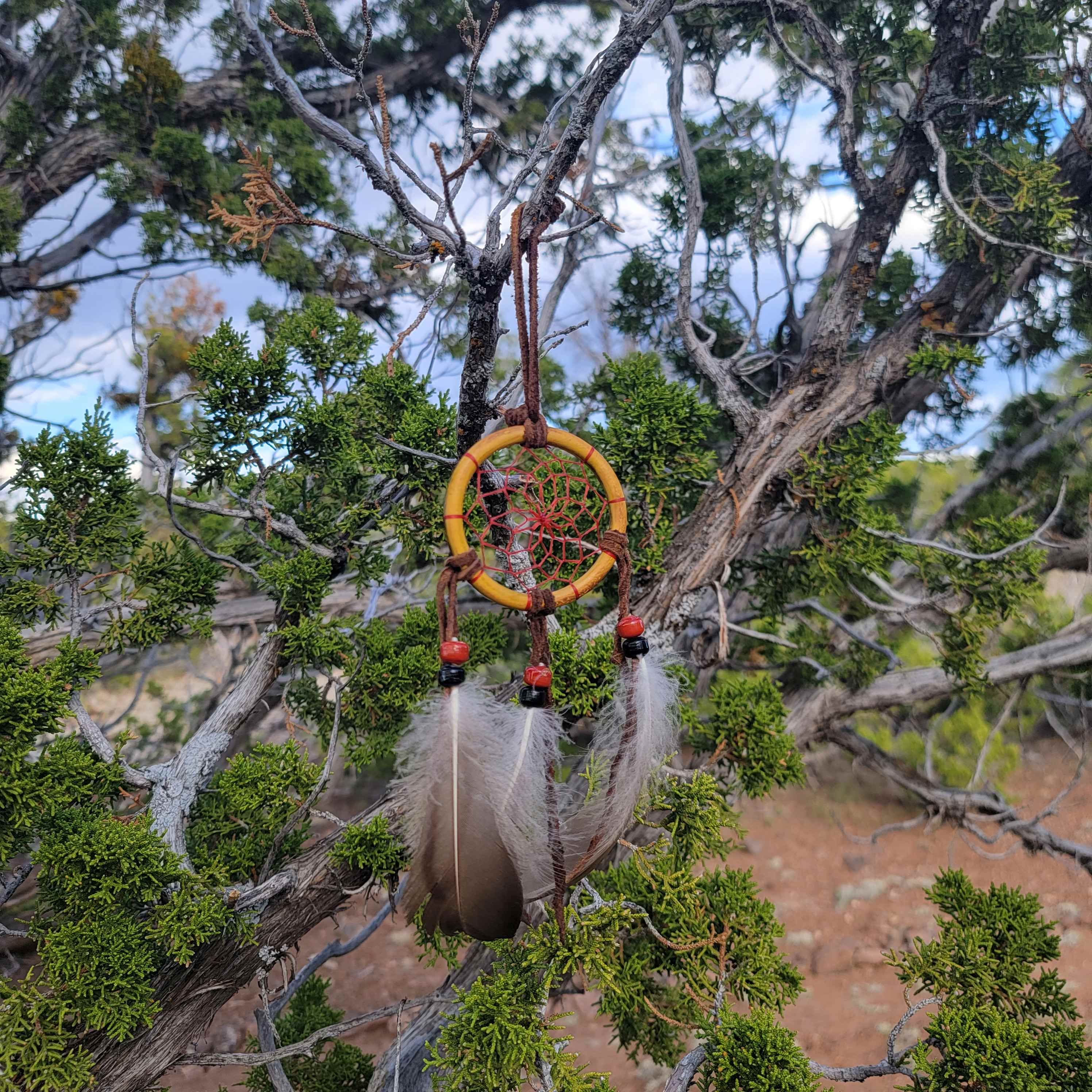 Wampum Tree Camp