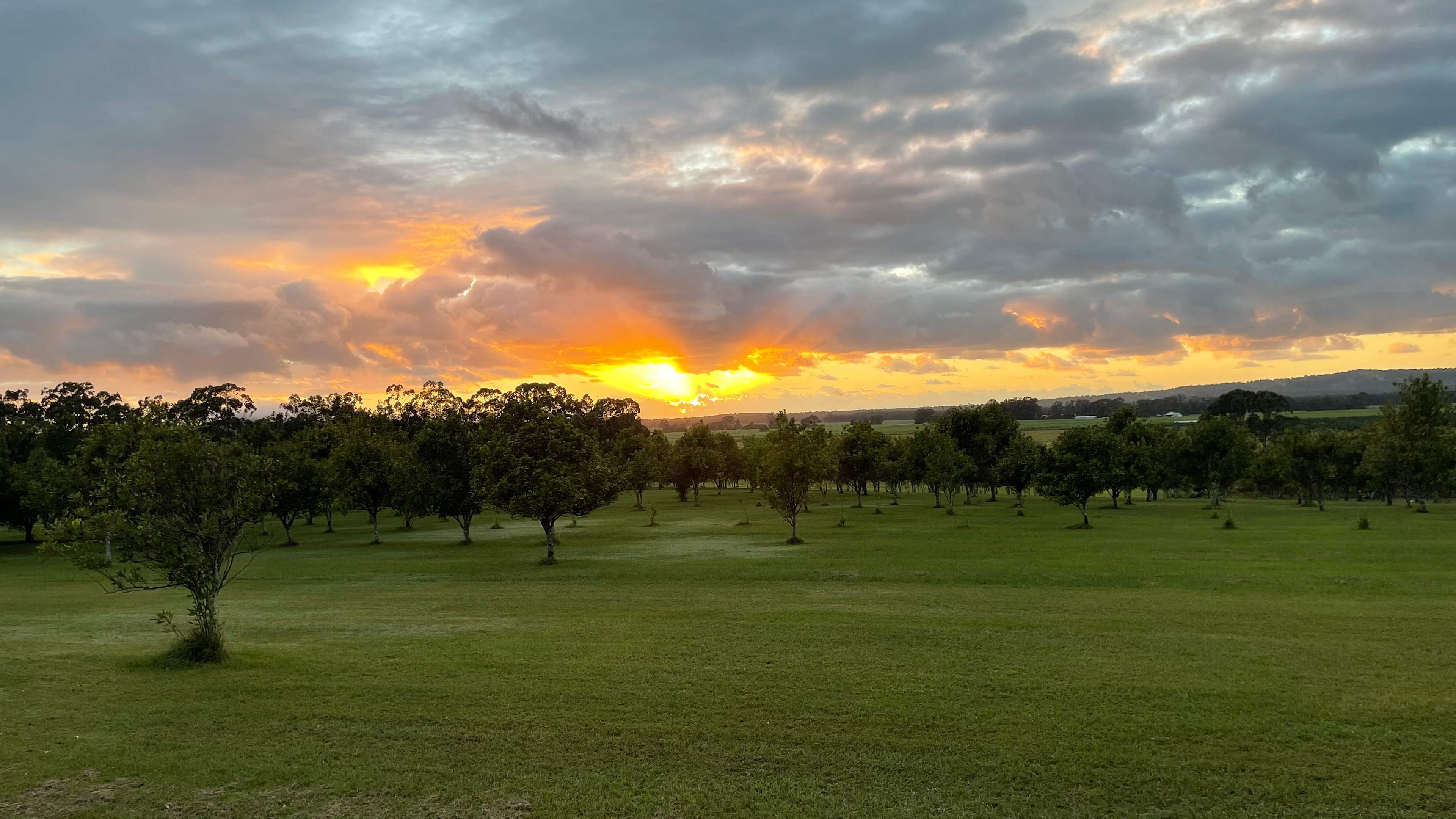 Sunrise