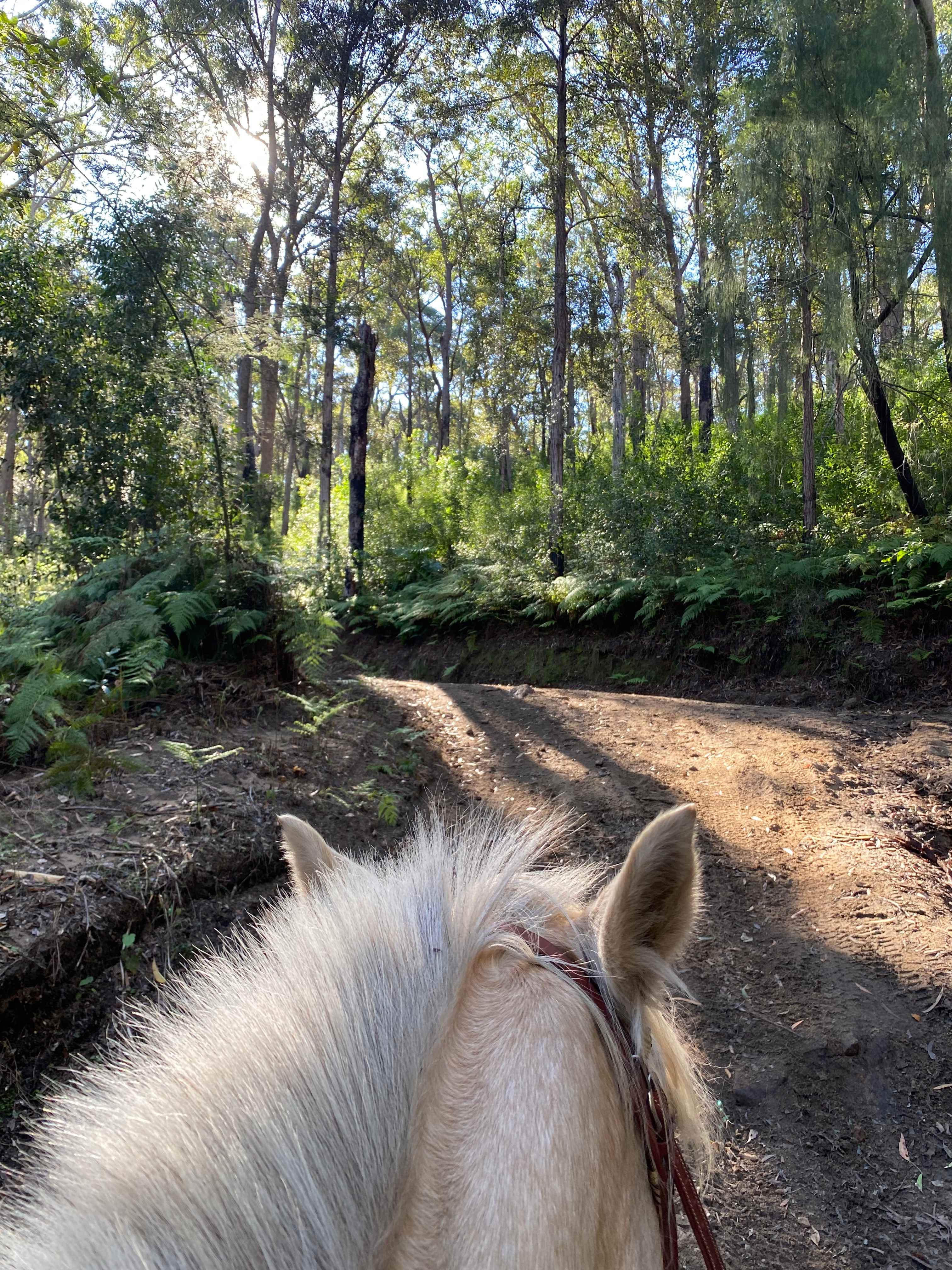 Secret Valley