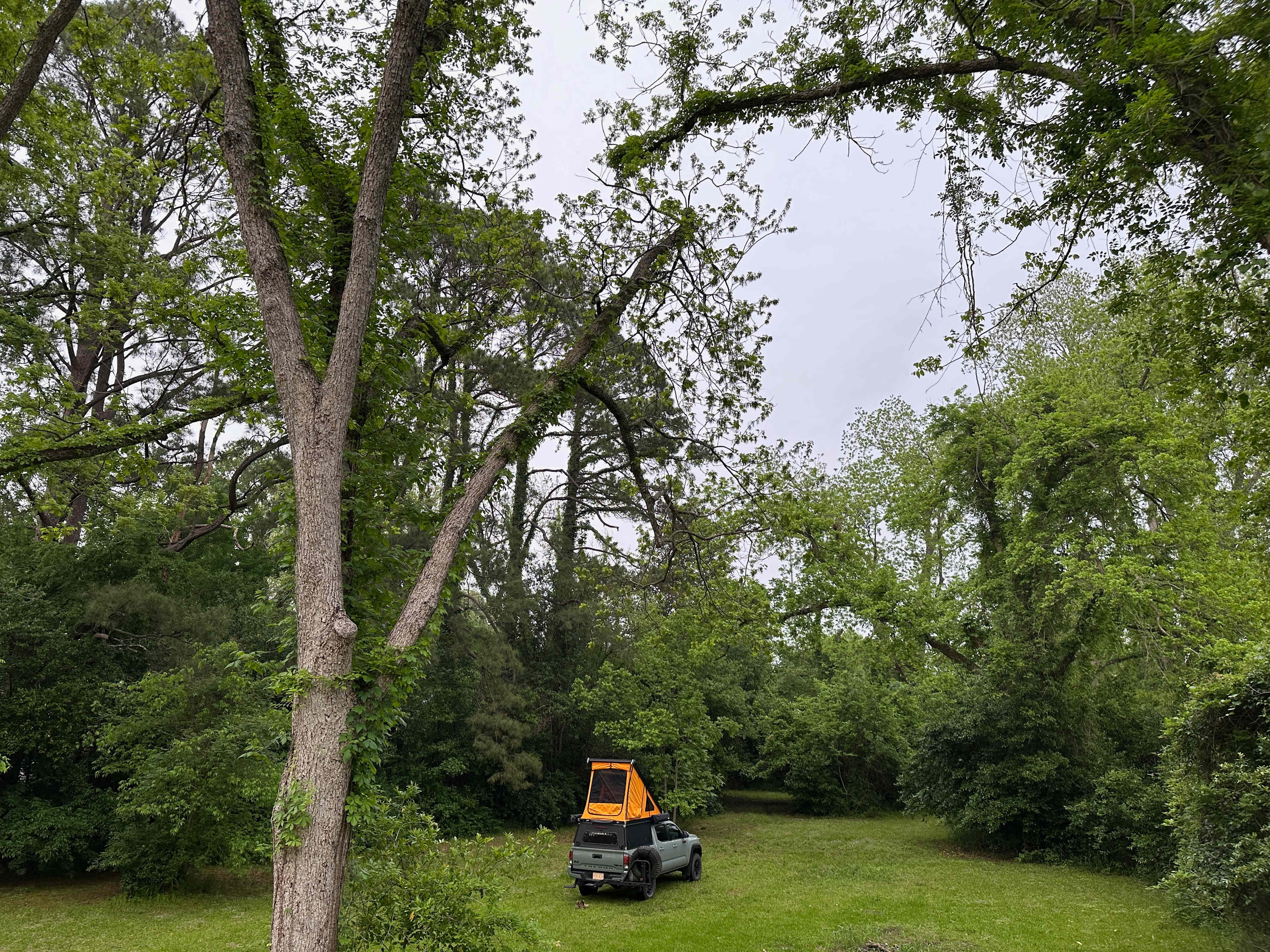 Camping area behind the historic home is very private