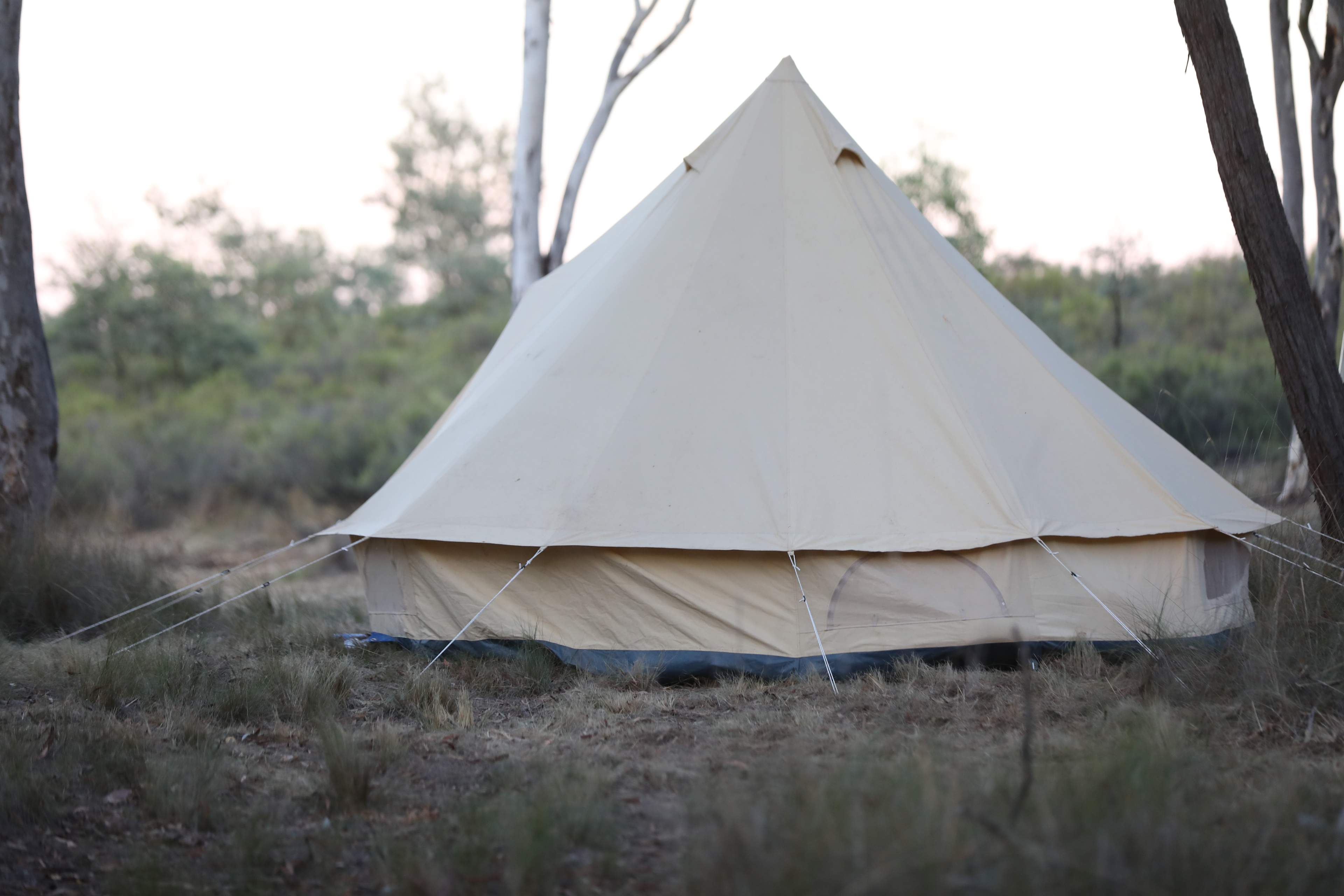 Mount Testa Campgrounds