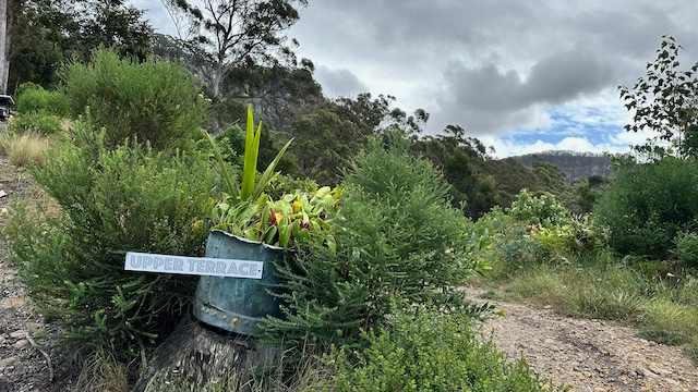 Mellows Ridge