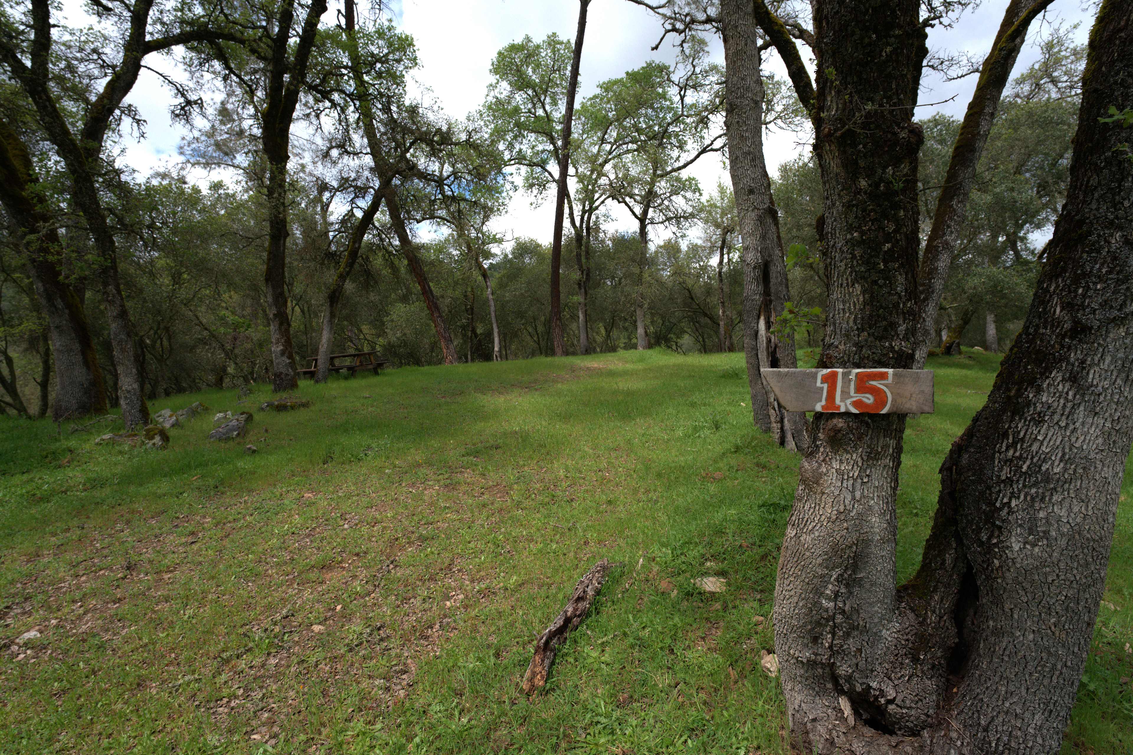 Cosumnes River Ranch