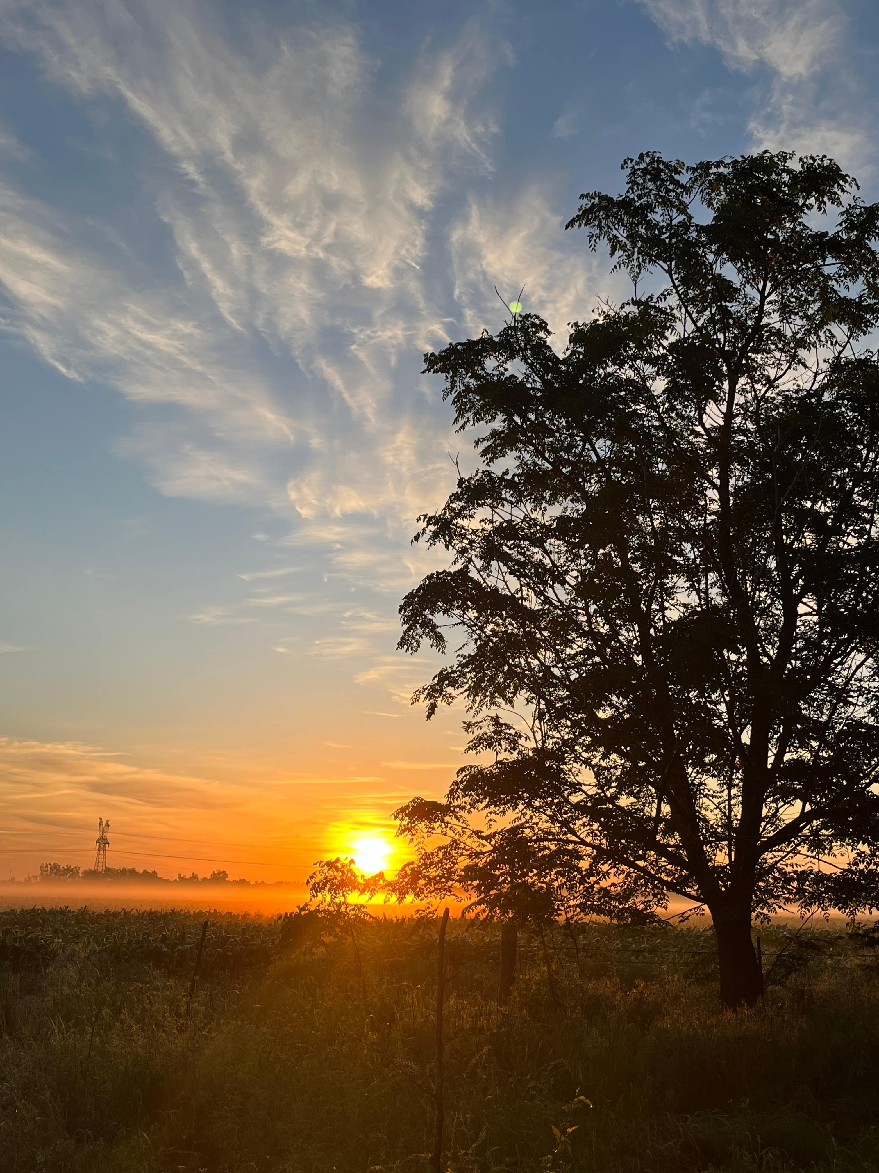 P² Farm | Scenic River Camping