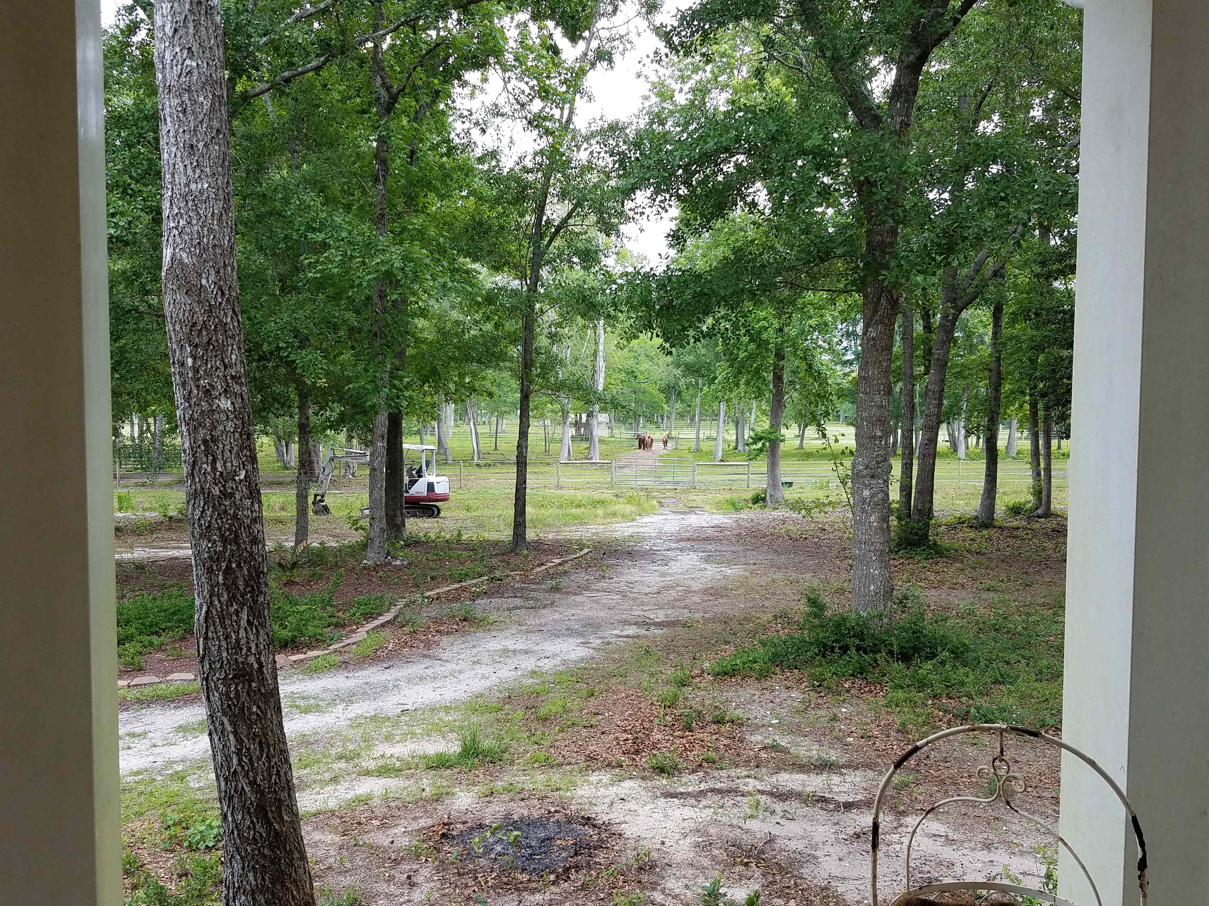 Wild Horse Preserve At Grayce Wynds