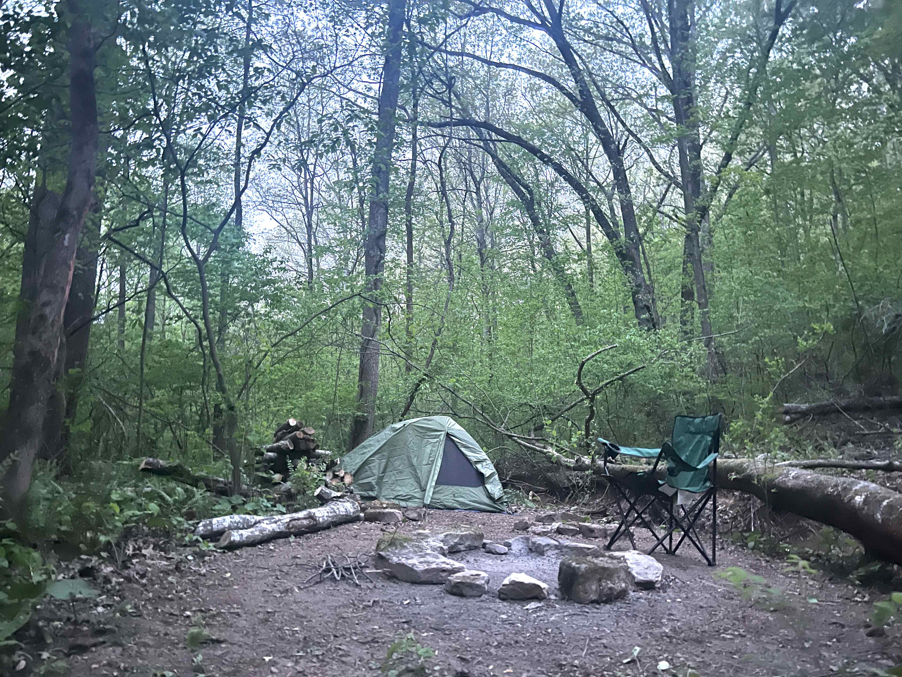 Picture of the site