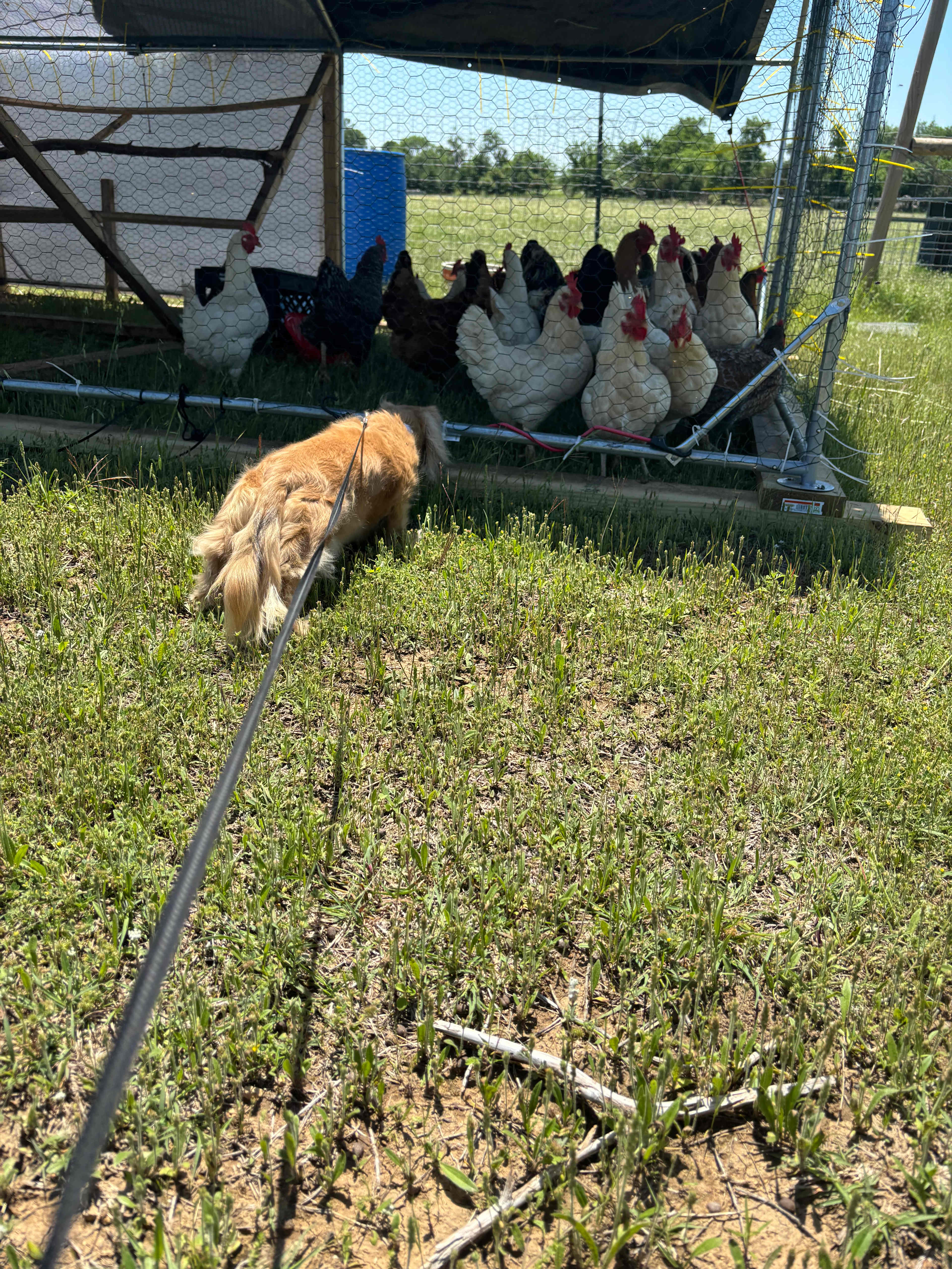 The eggs were so yummy!
