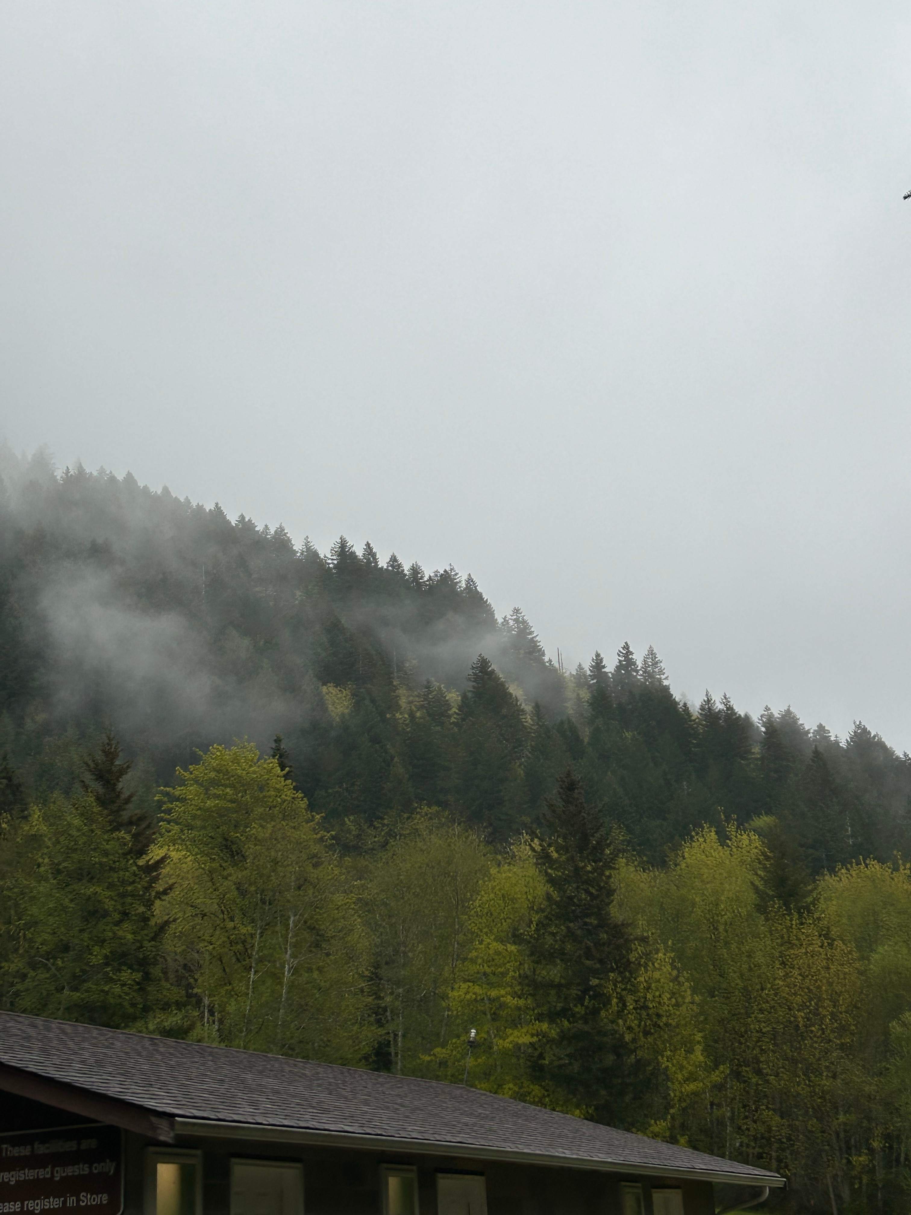 Shadow Mountain Campground