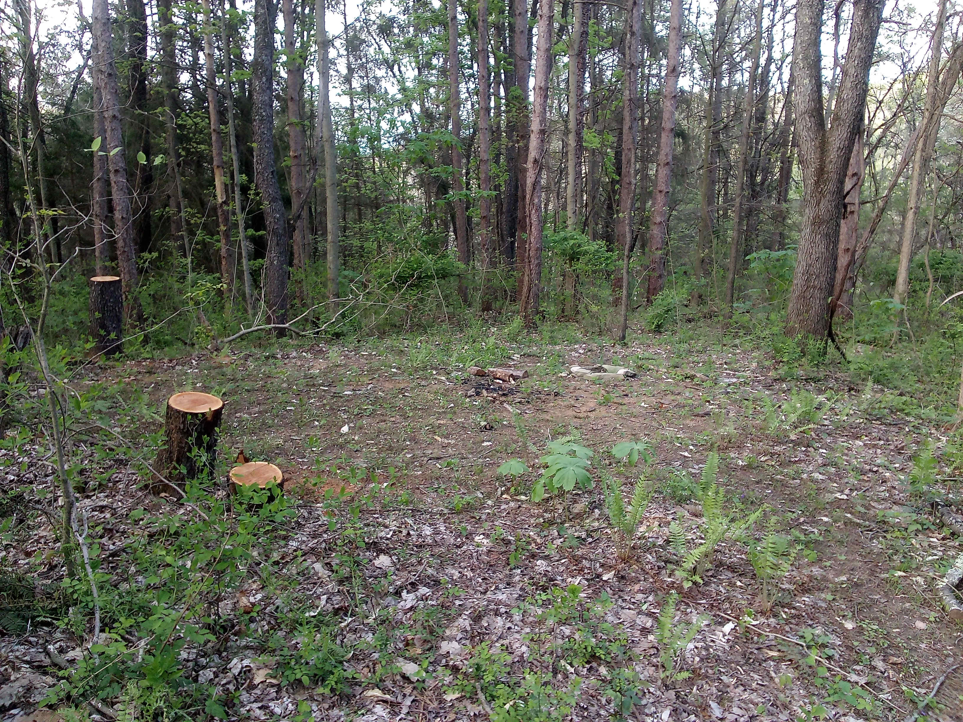 Slothman CampGrounds