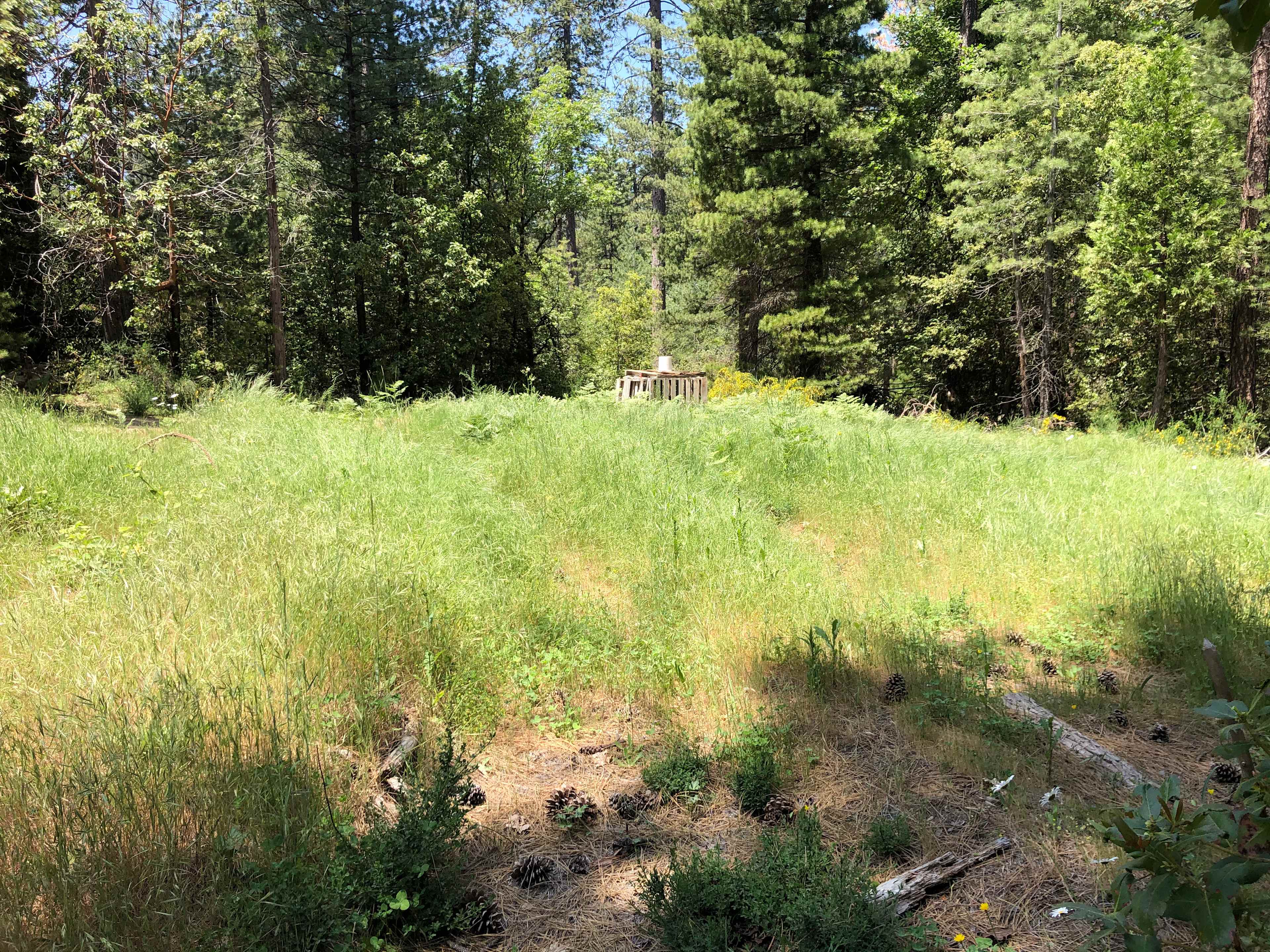 Rock Creek Sanctuary