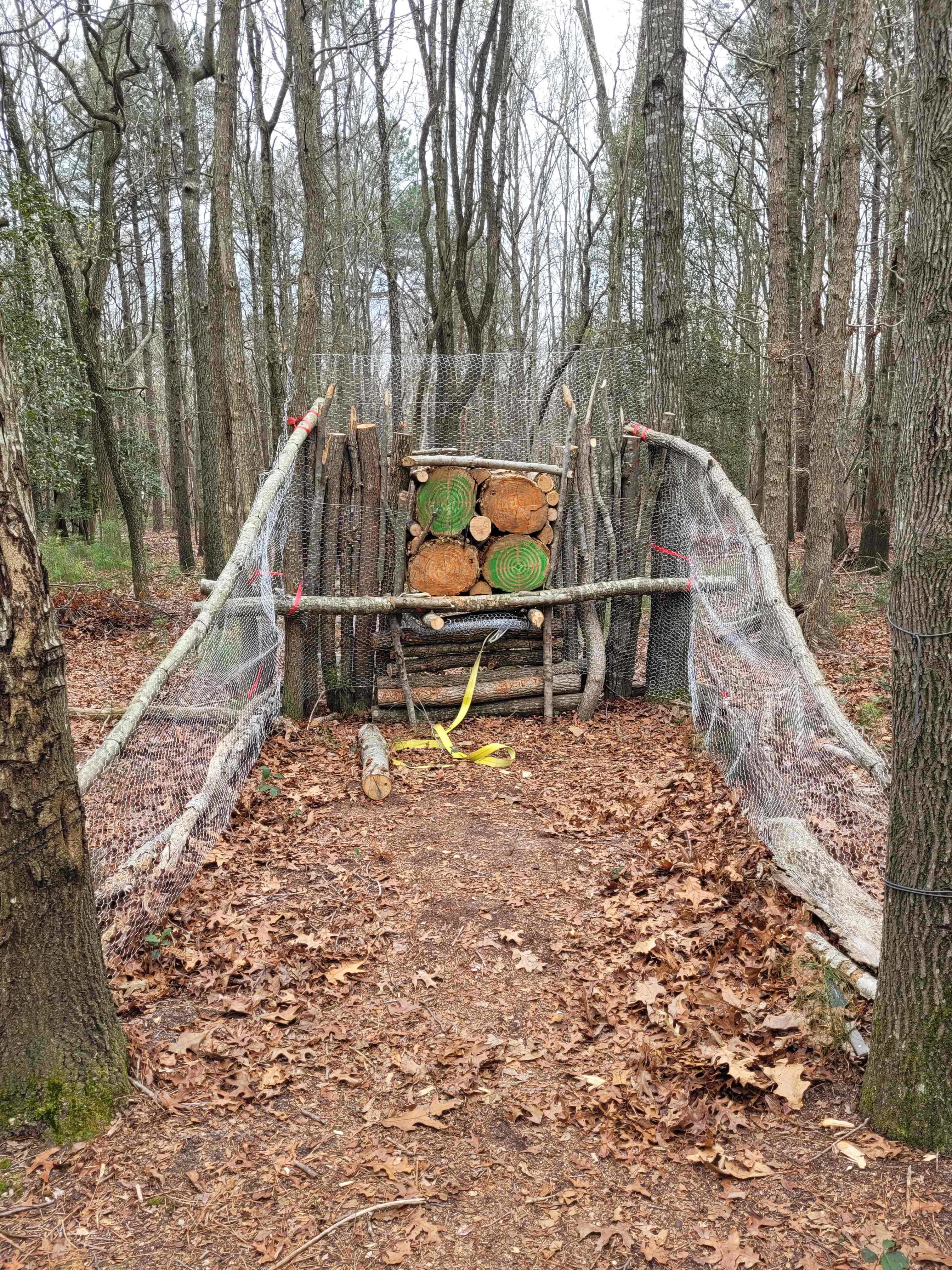 Apocalypse Camp