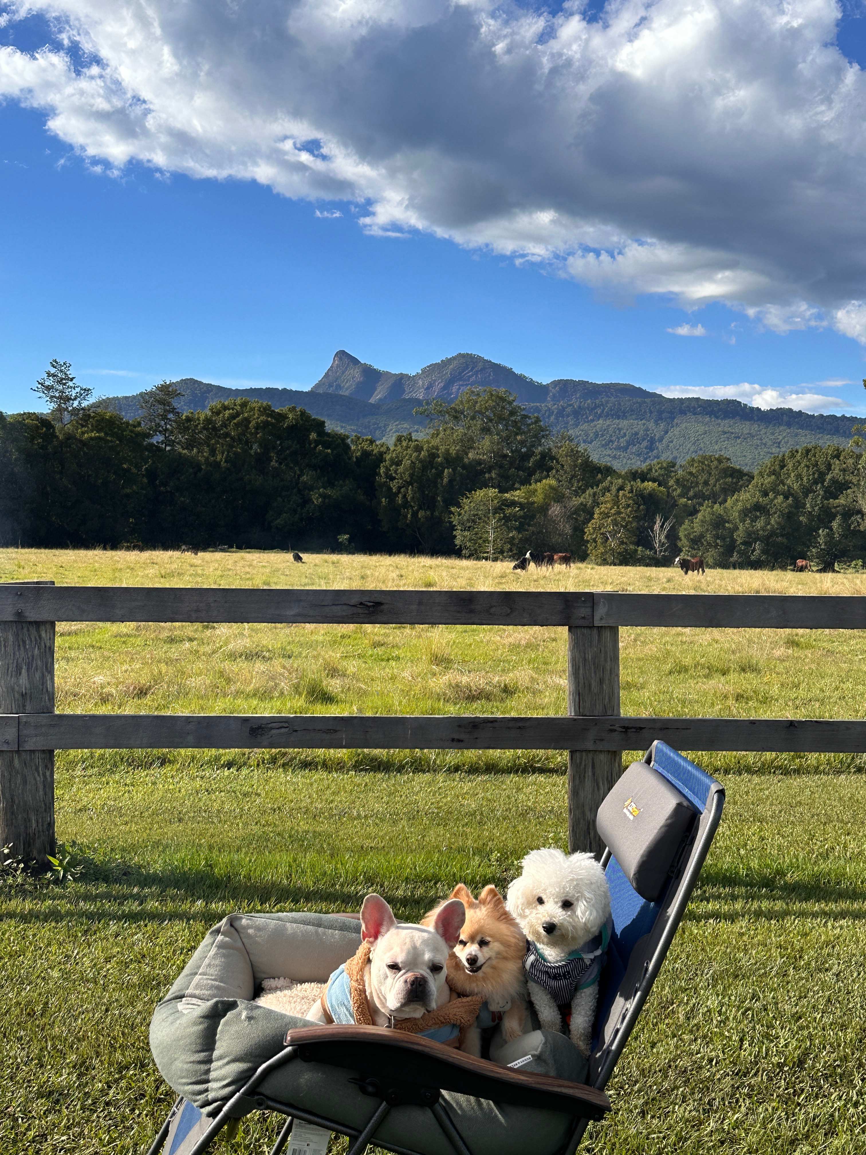 Tyalgum Showground