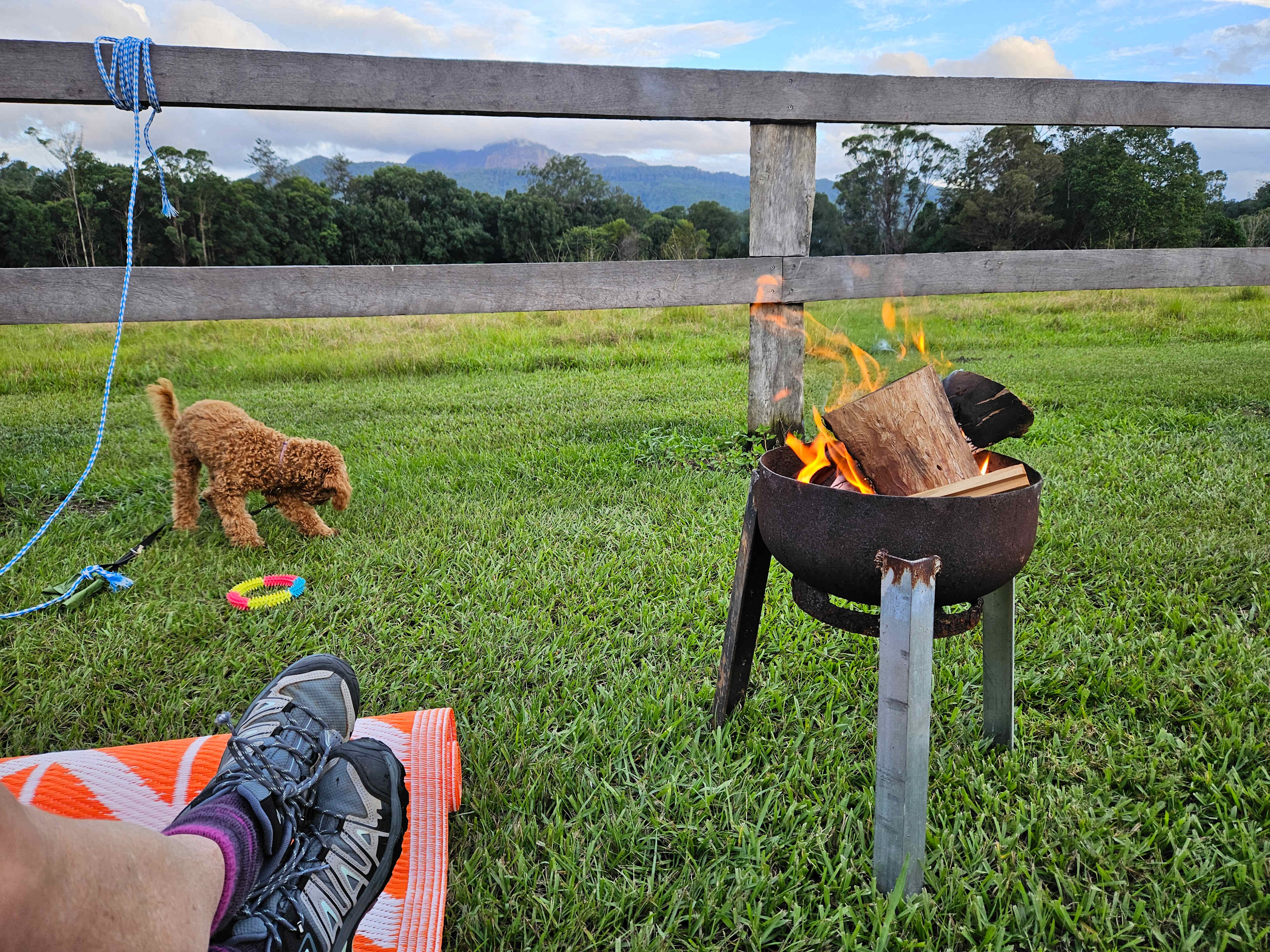 Tyalgum Showground