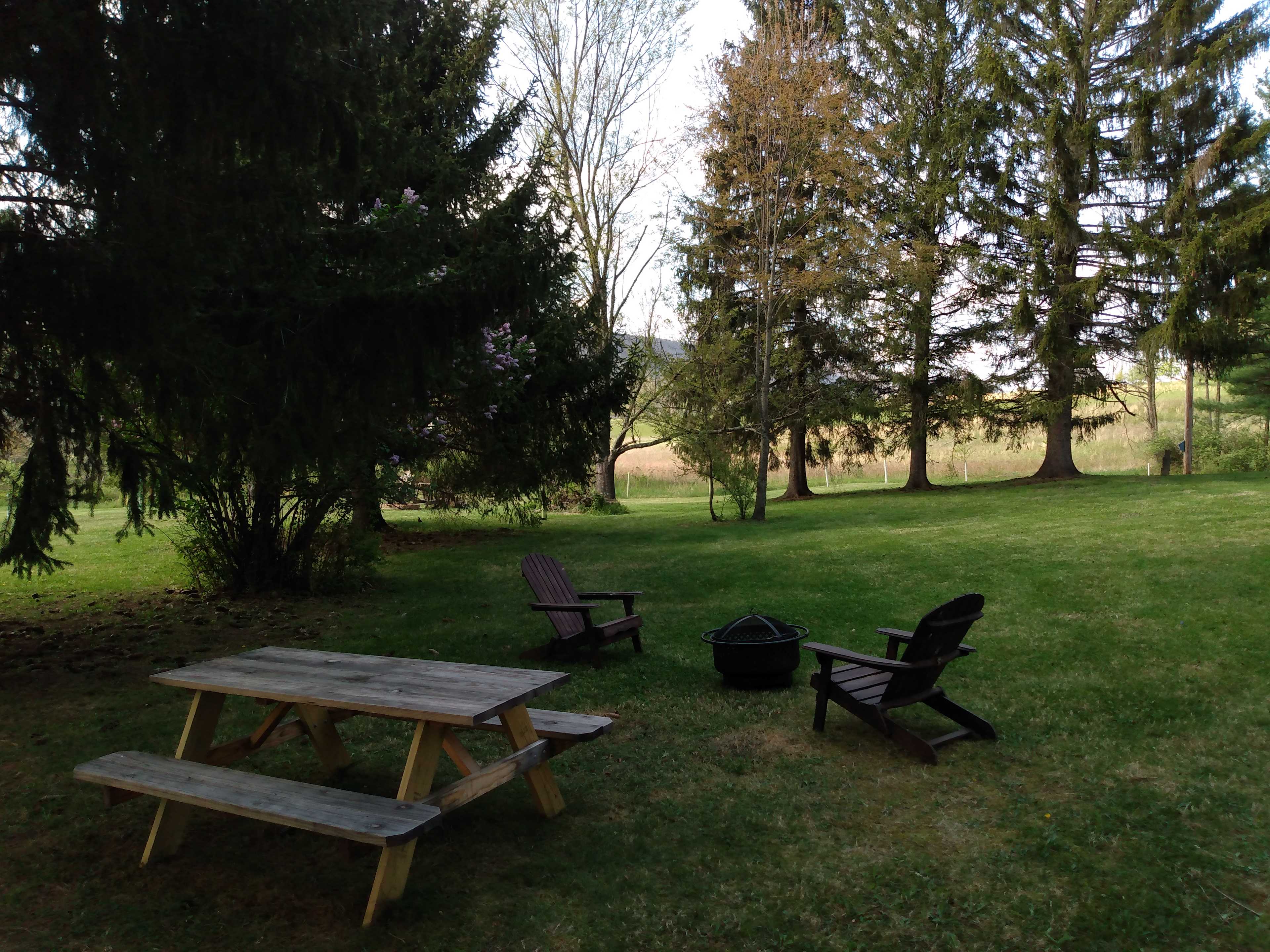 Evergreen Grove campsite