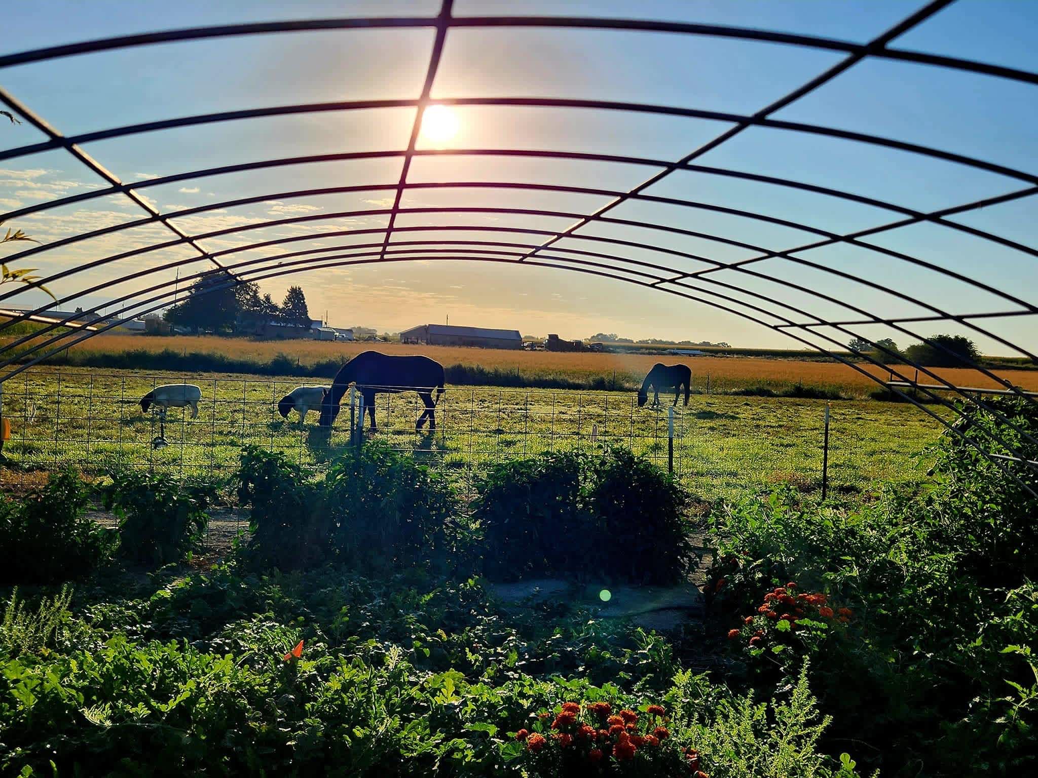 Kingswood Ranch