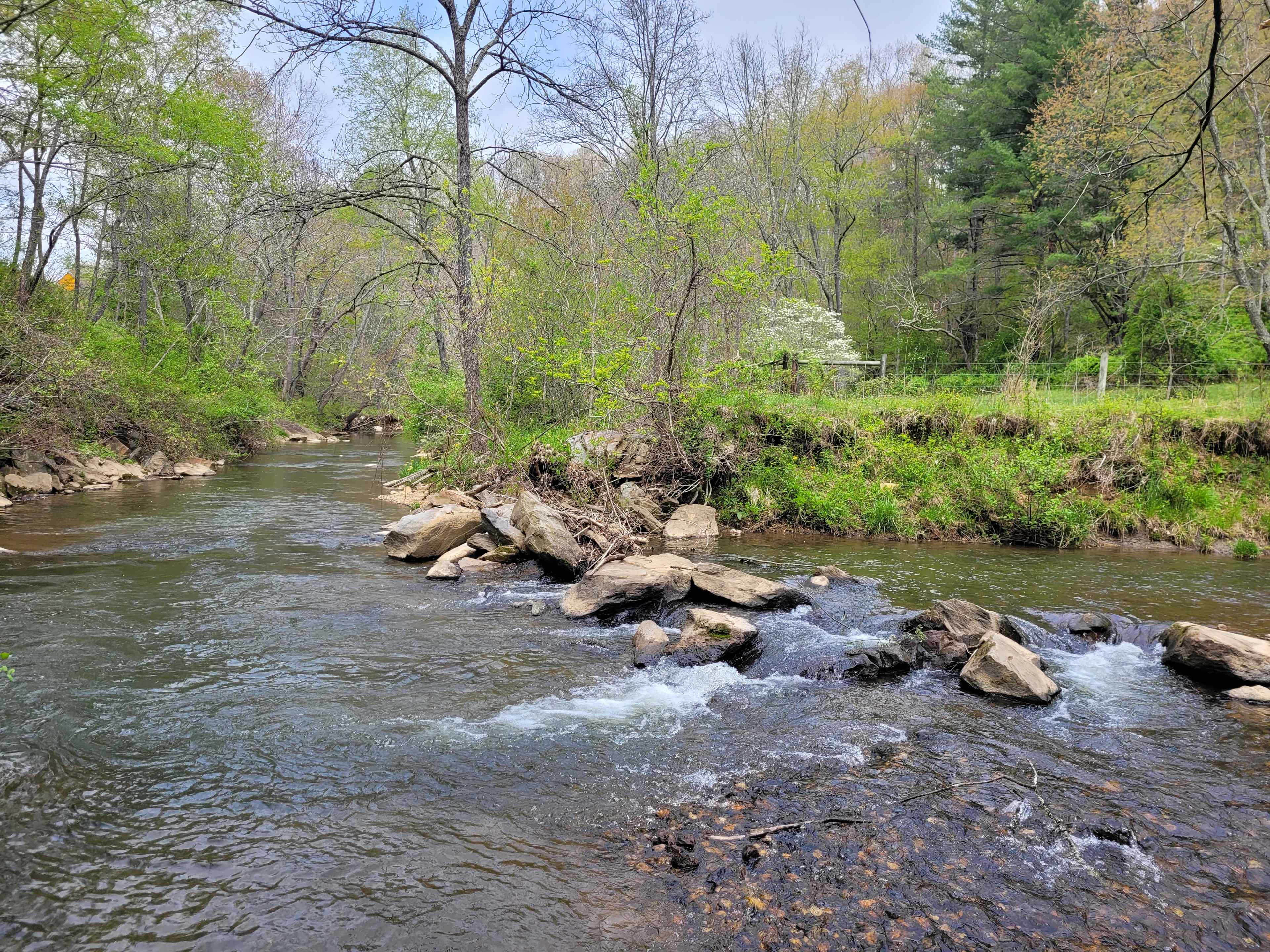 Hippie Hollow
