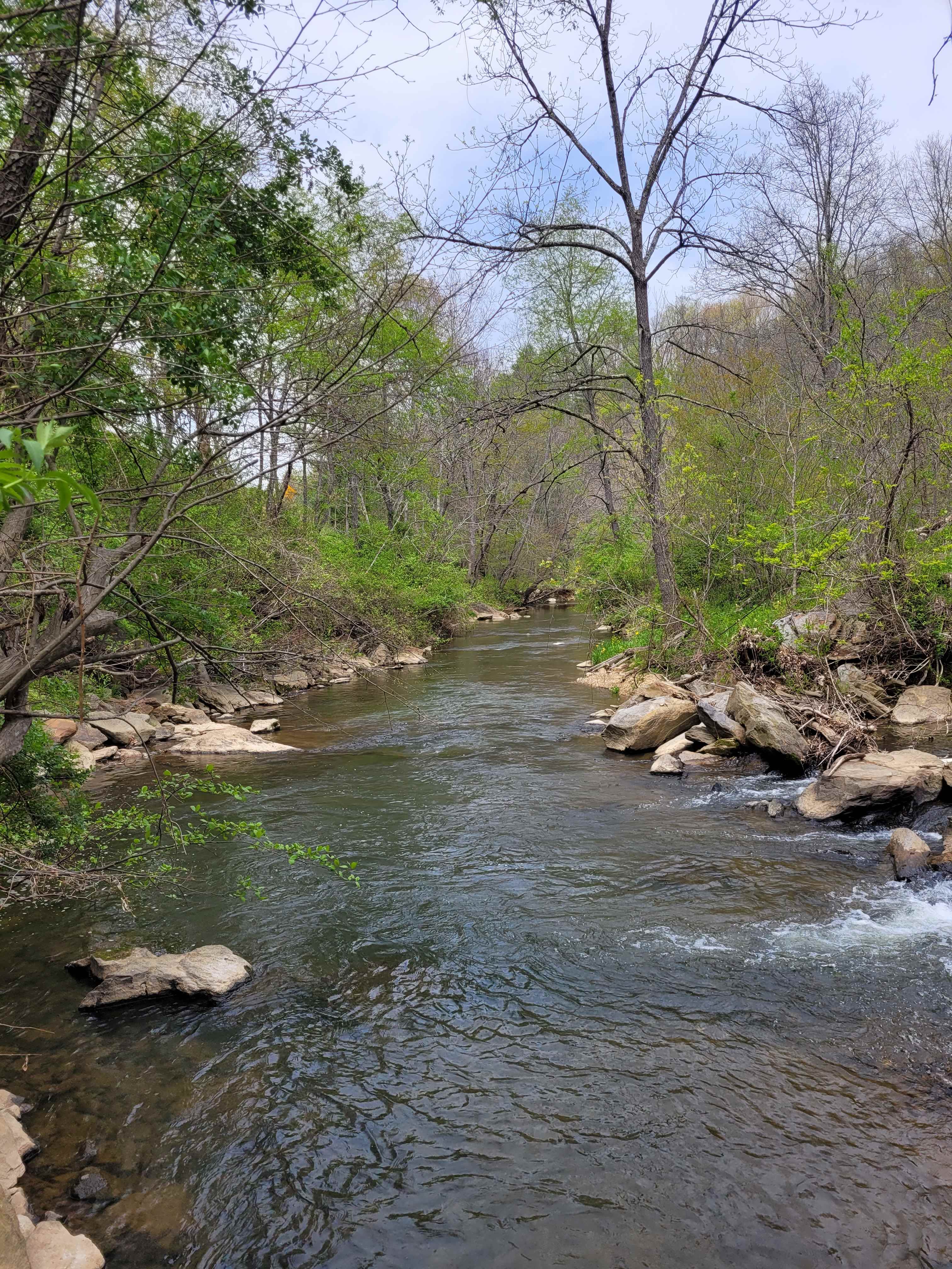Hippie Hollow
