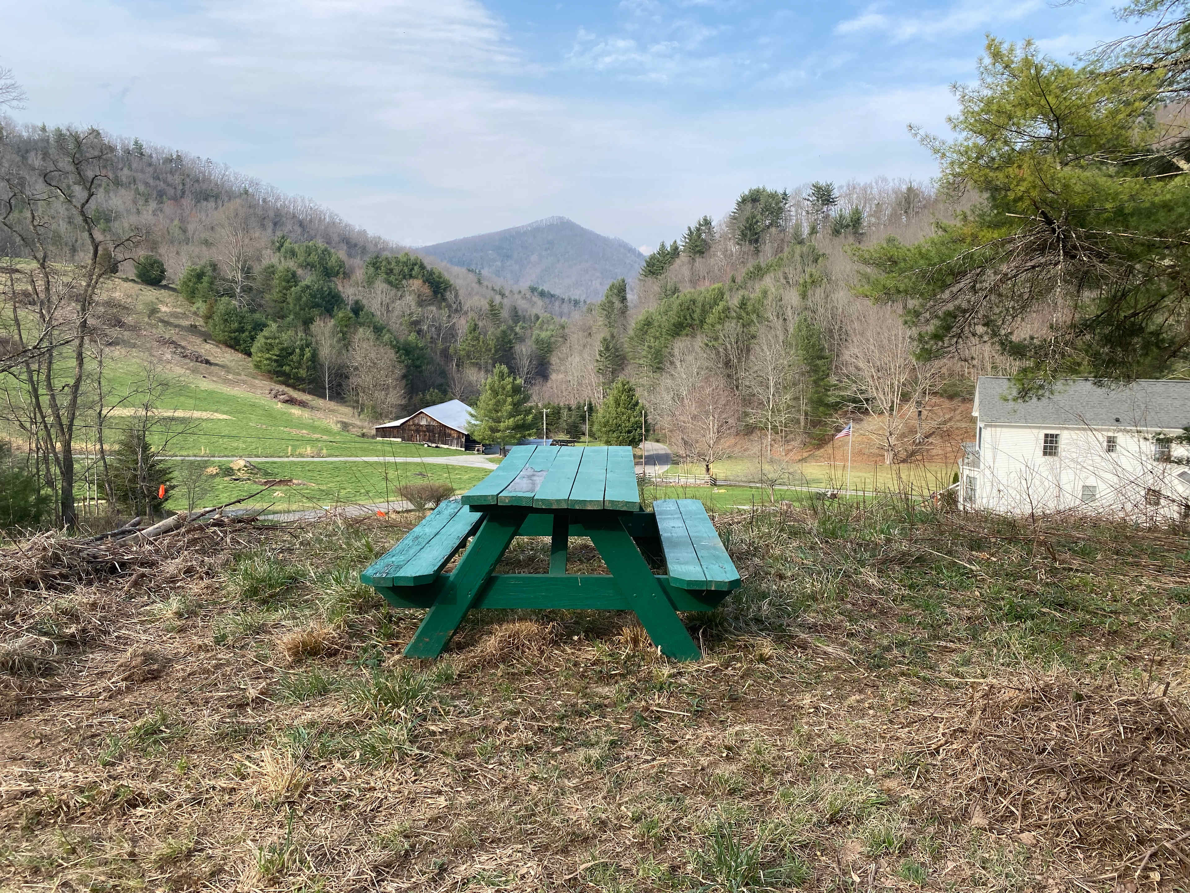 Picture of the site