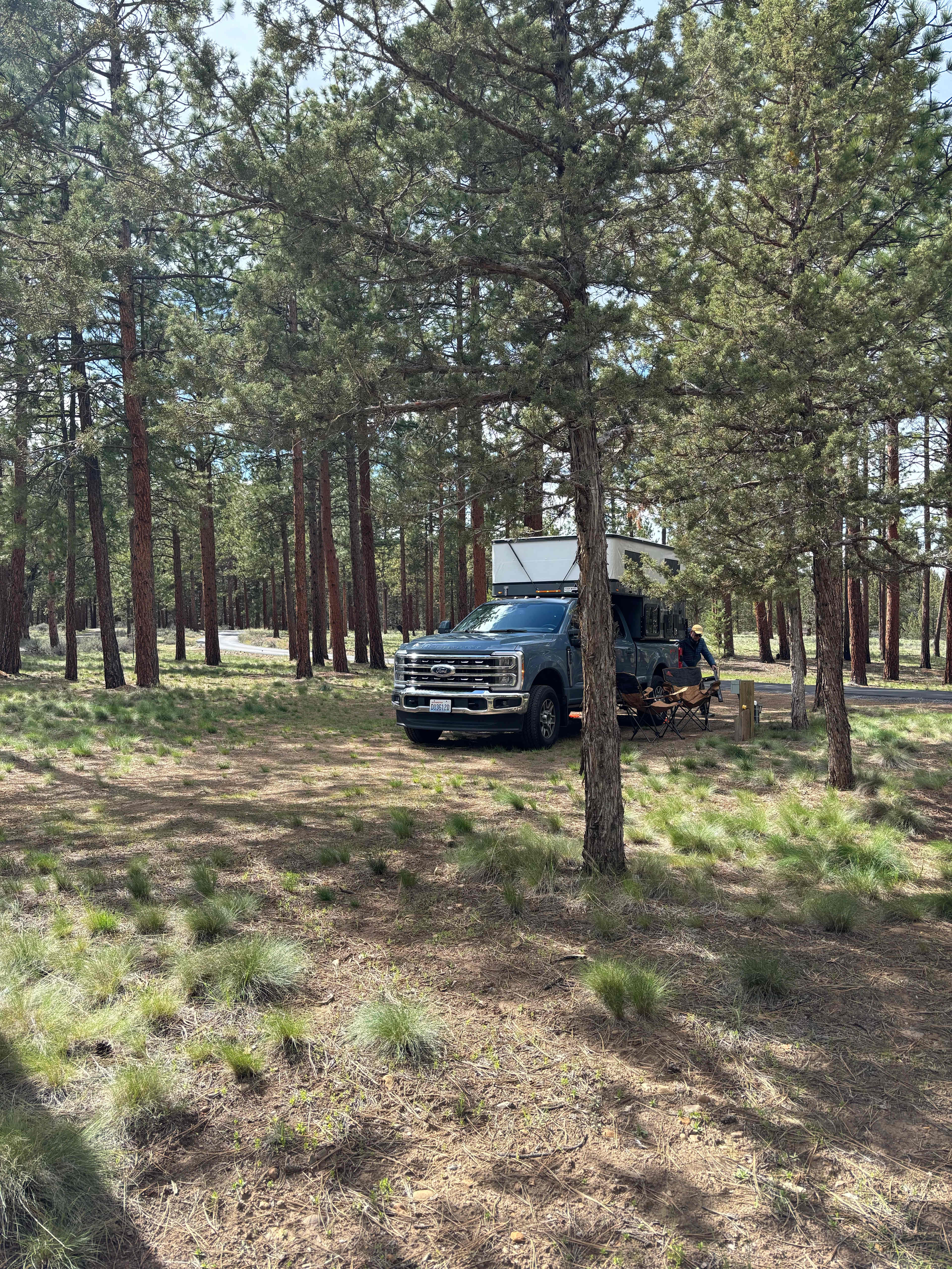 Trout Pines Camping