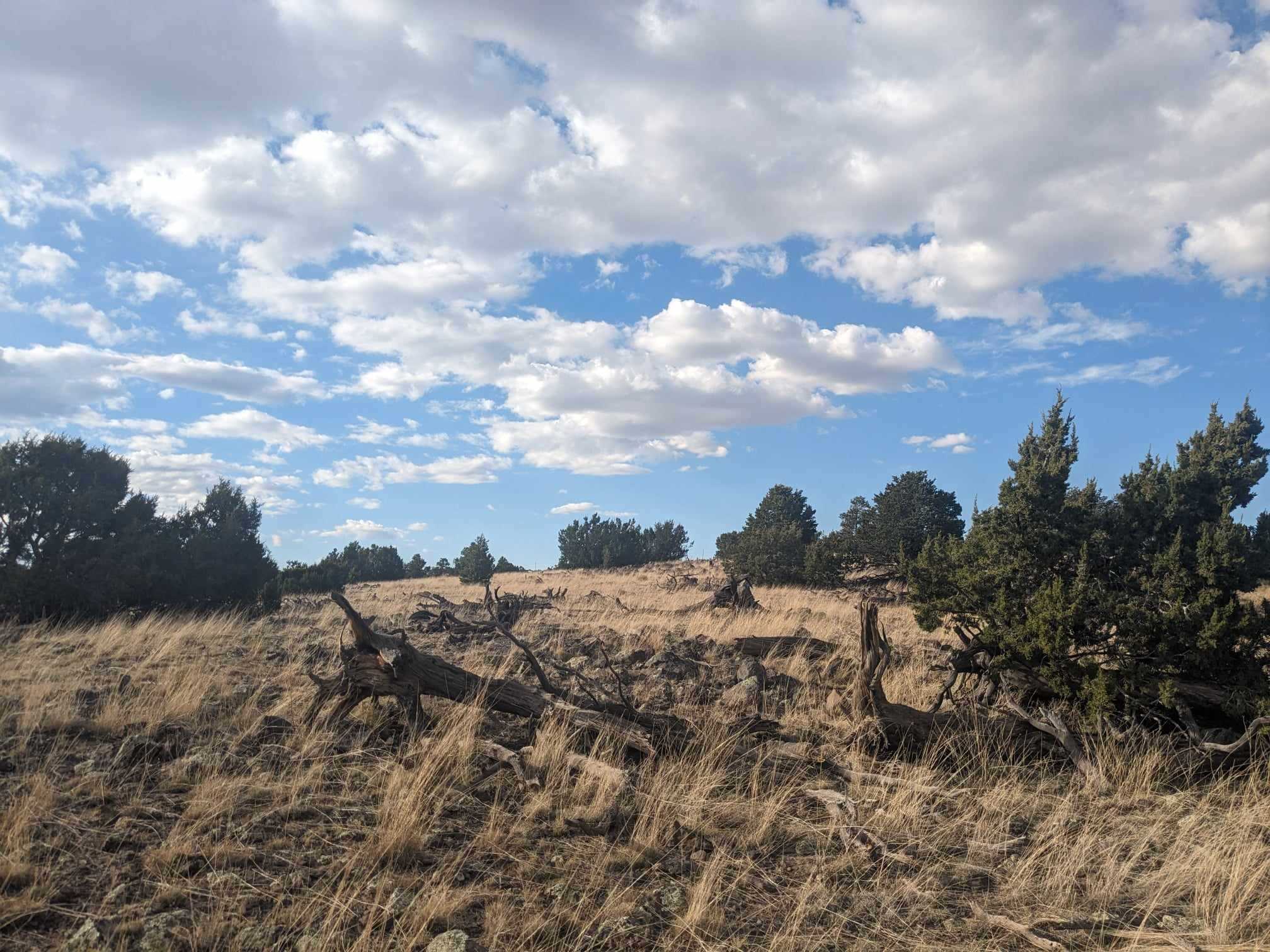 Hills of High Country