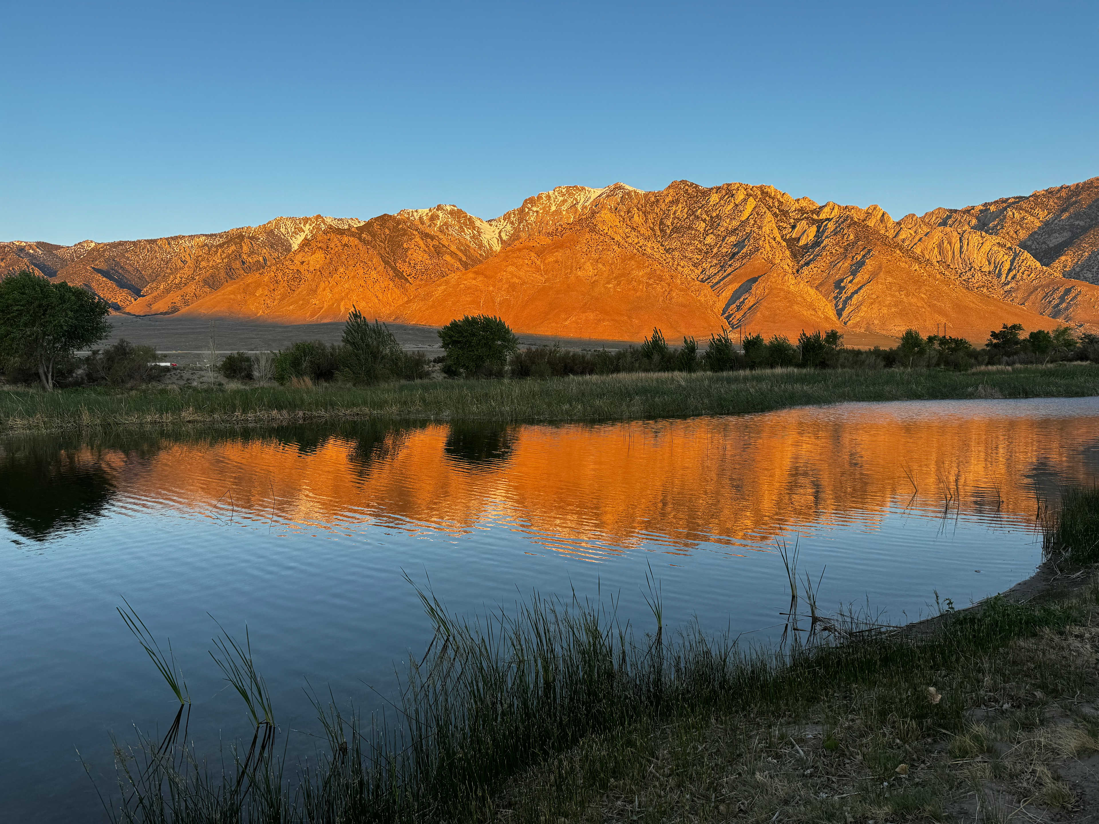 Lake Olancha RV Park and Campground