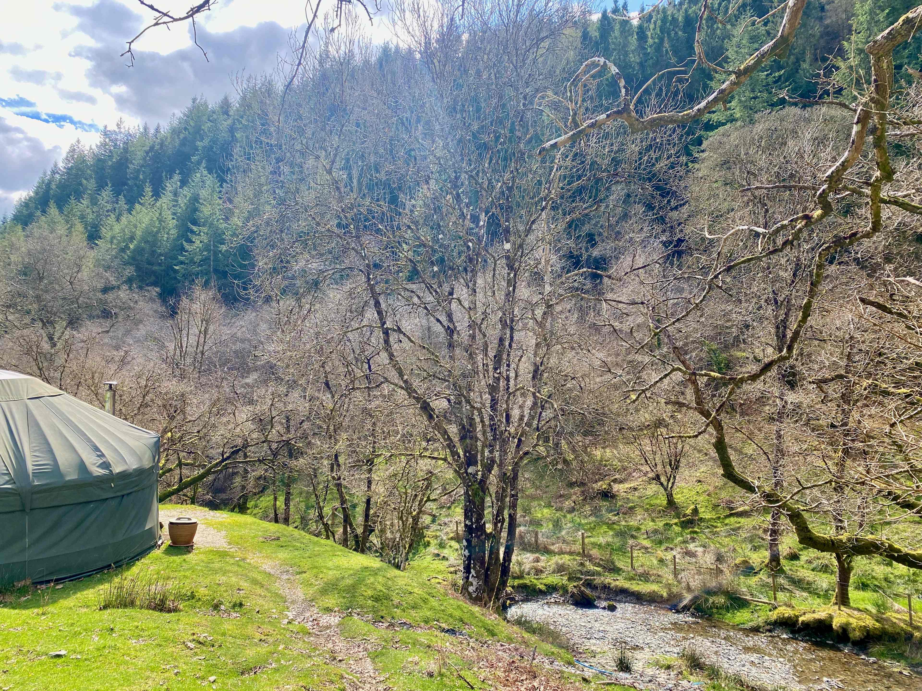 Picture of the site