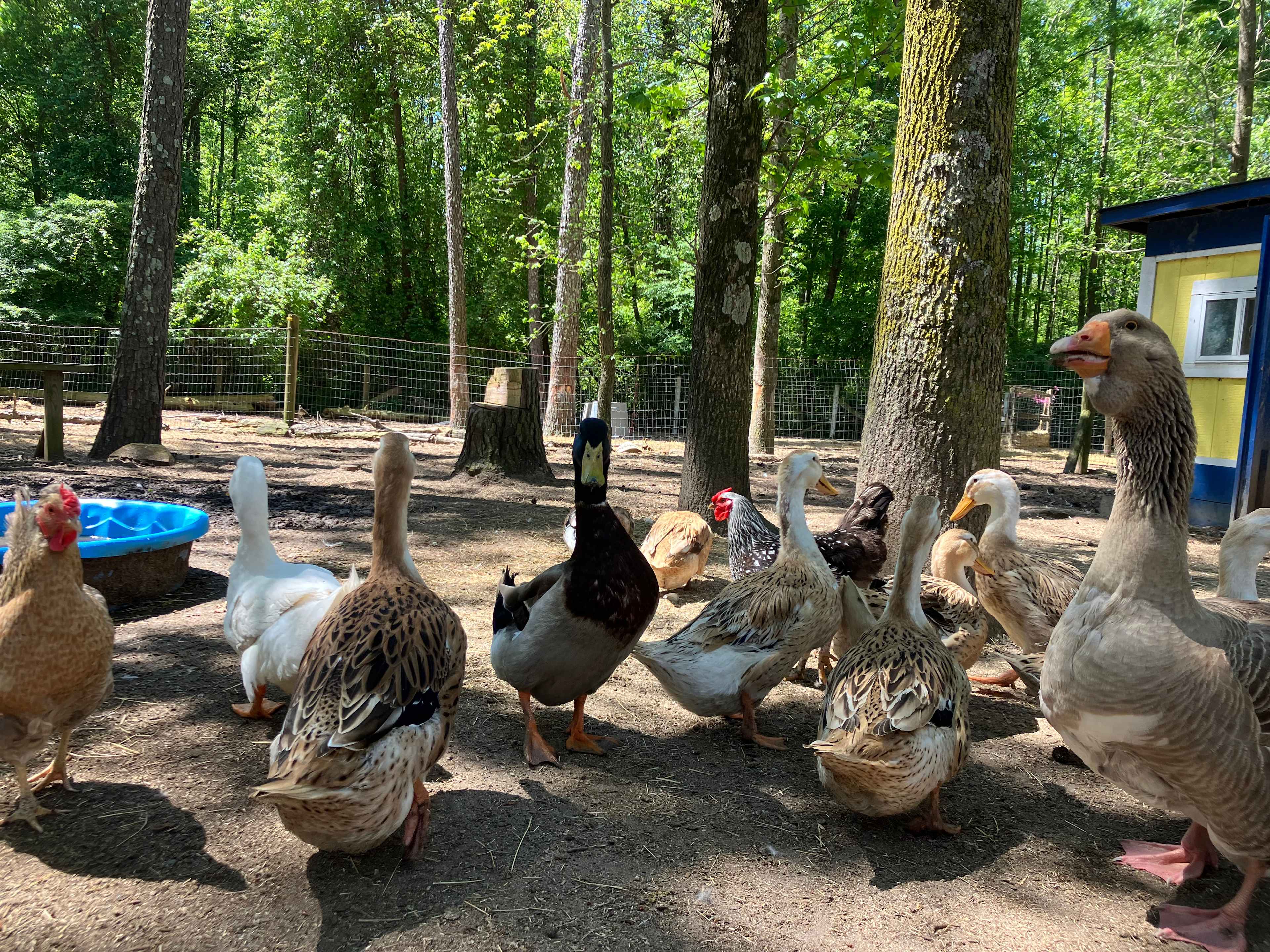Legacy Farms Leisure Area