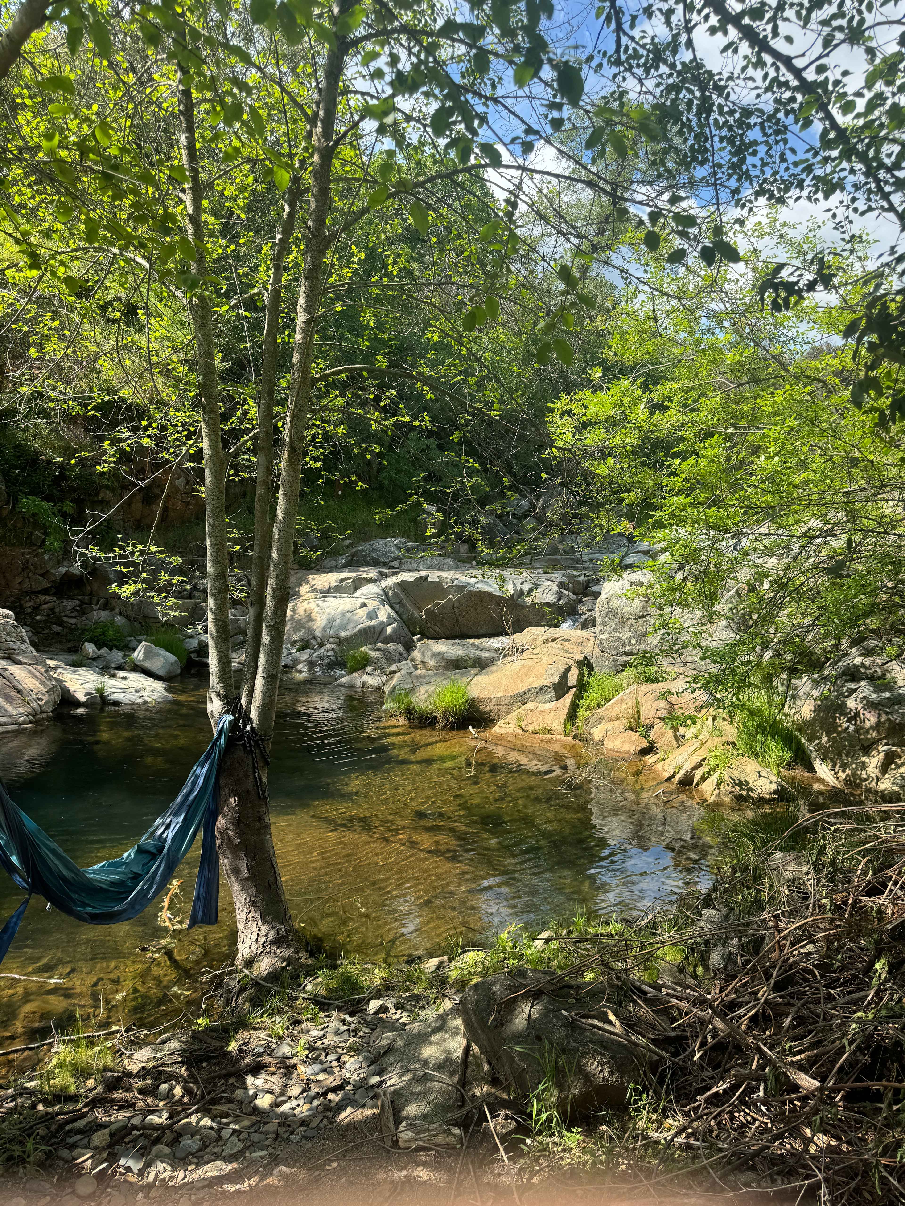 Swimming hole 
