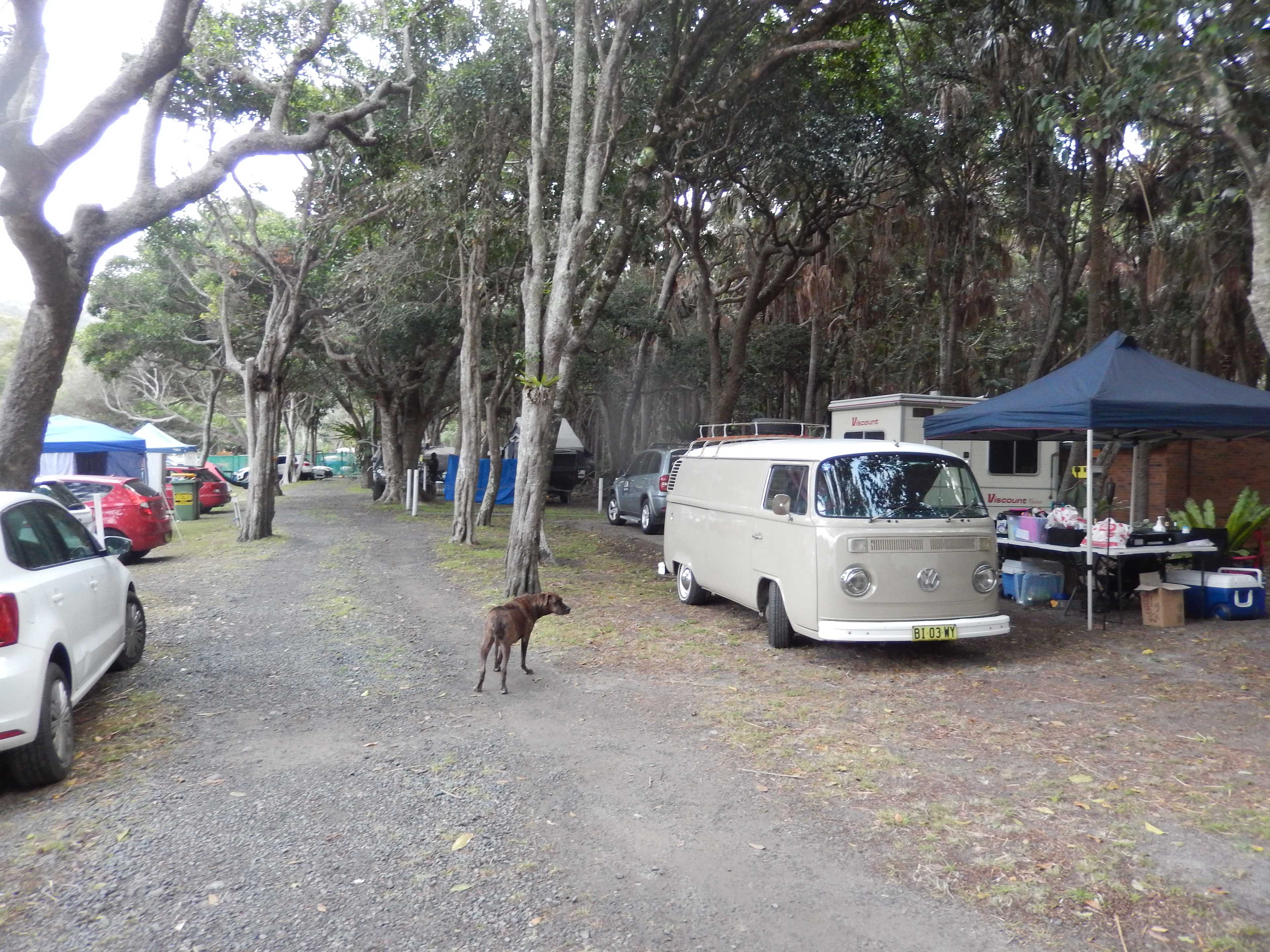 Tiona Holiday Park
