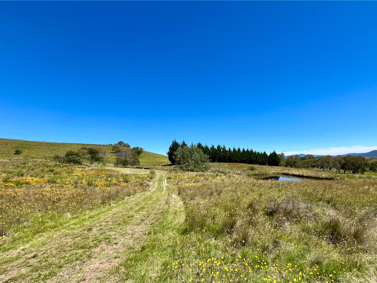 Harros Hill, Jindabyne